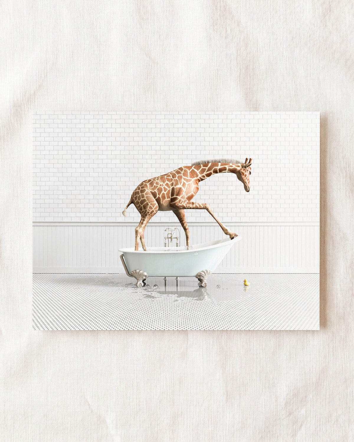 Animals in Bathtubs - Mix and Match Horizontal