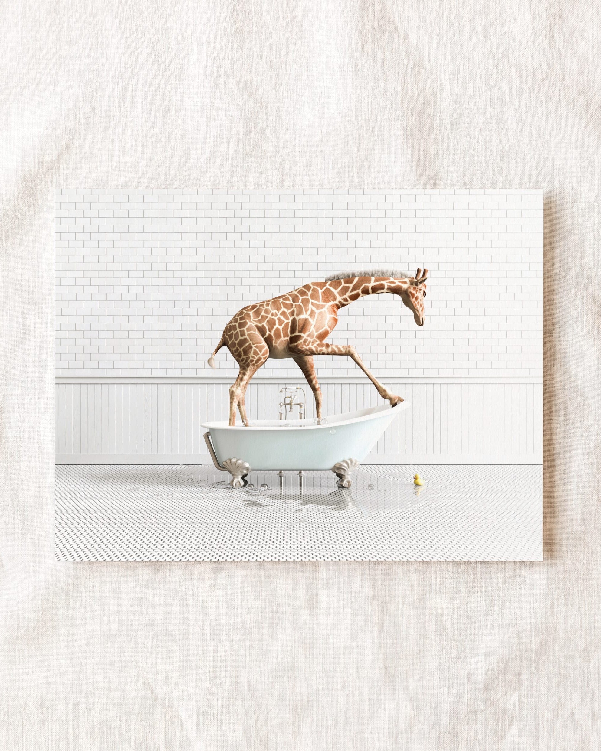 Animals in Bathtubs - Mix and Match Horizontal