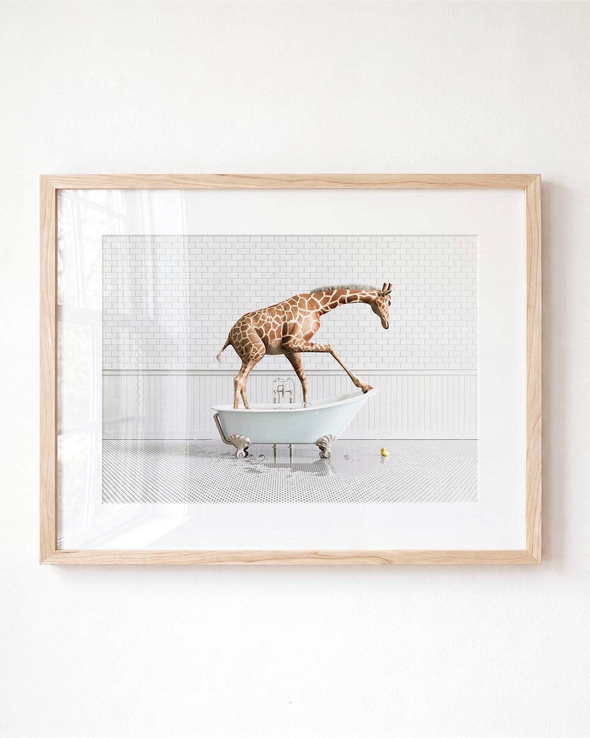 Animals in Bathtubs - Mix and Match Horizontal — Framed