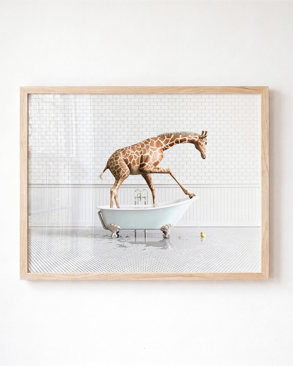 Animals in Bathtubs - Mix and Match Horizontal - Framed Art