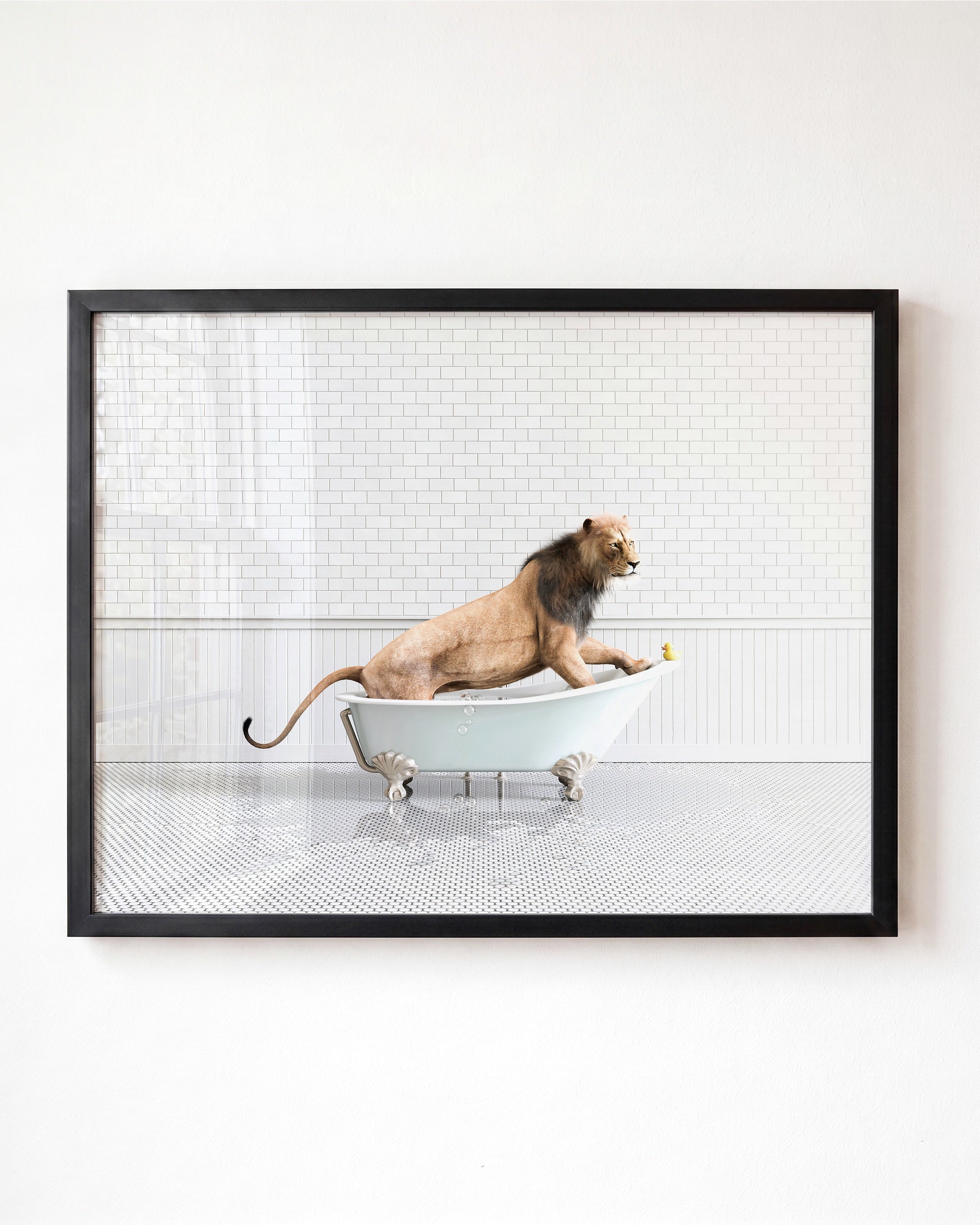 Animals in Bathtubs - Mix and Match Horizontal