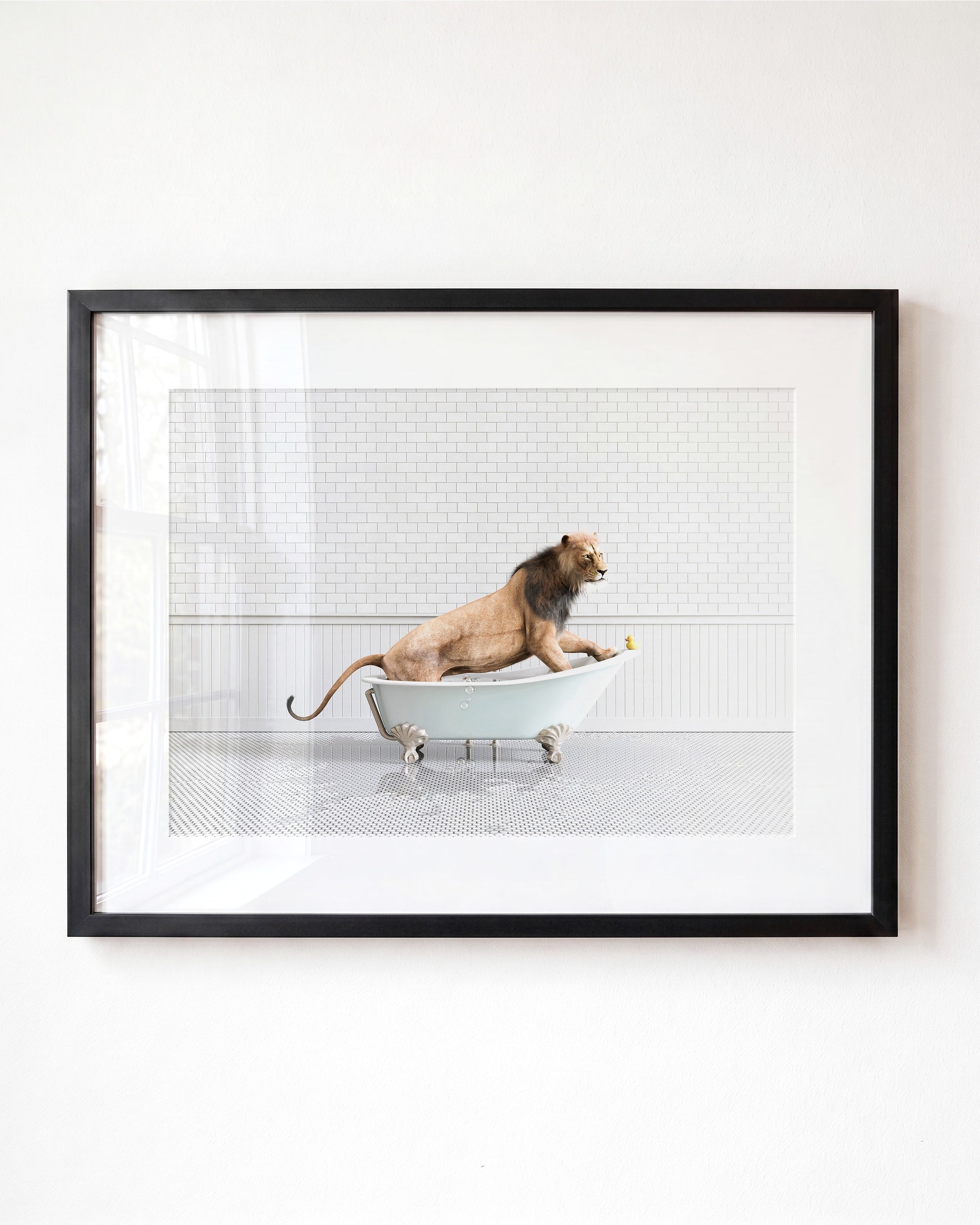 Animals in Bathtubs - Mix and Match Horizontal