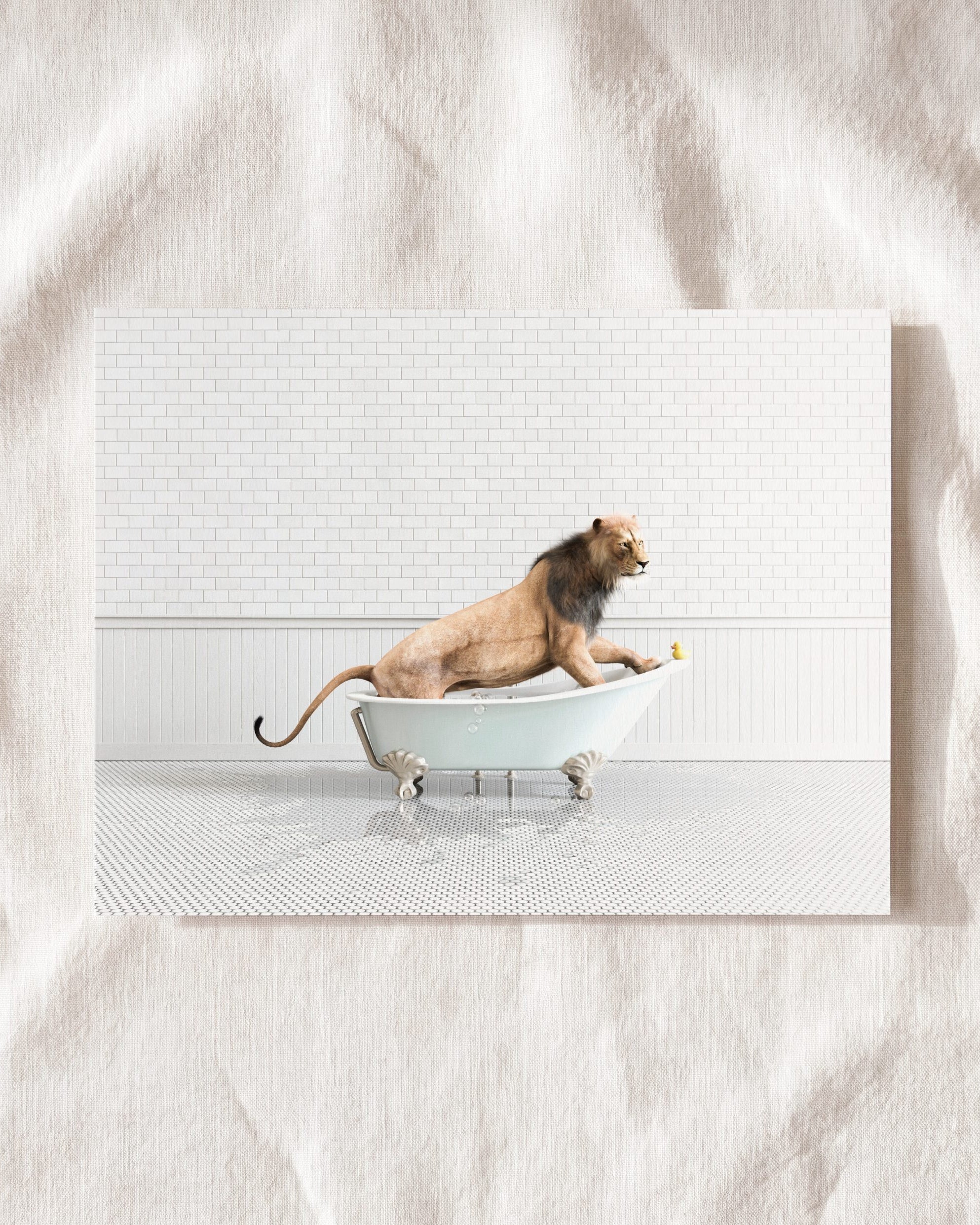 Animals in Bathtubs - Mix and Match Horizontal