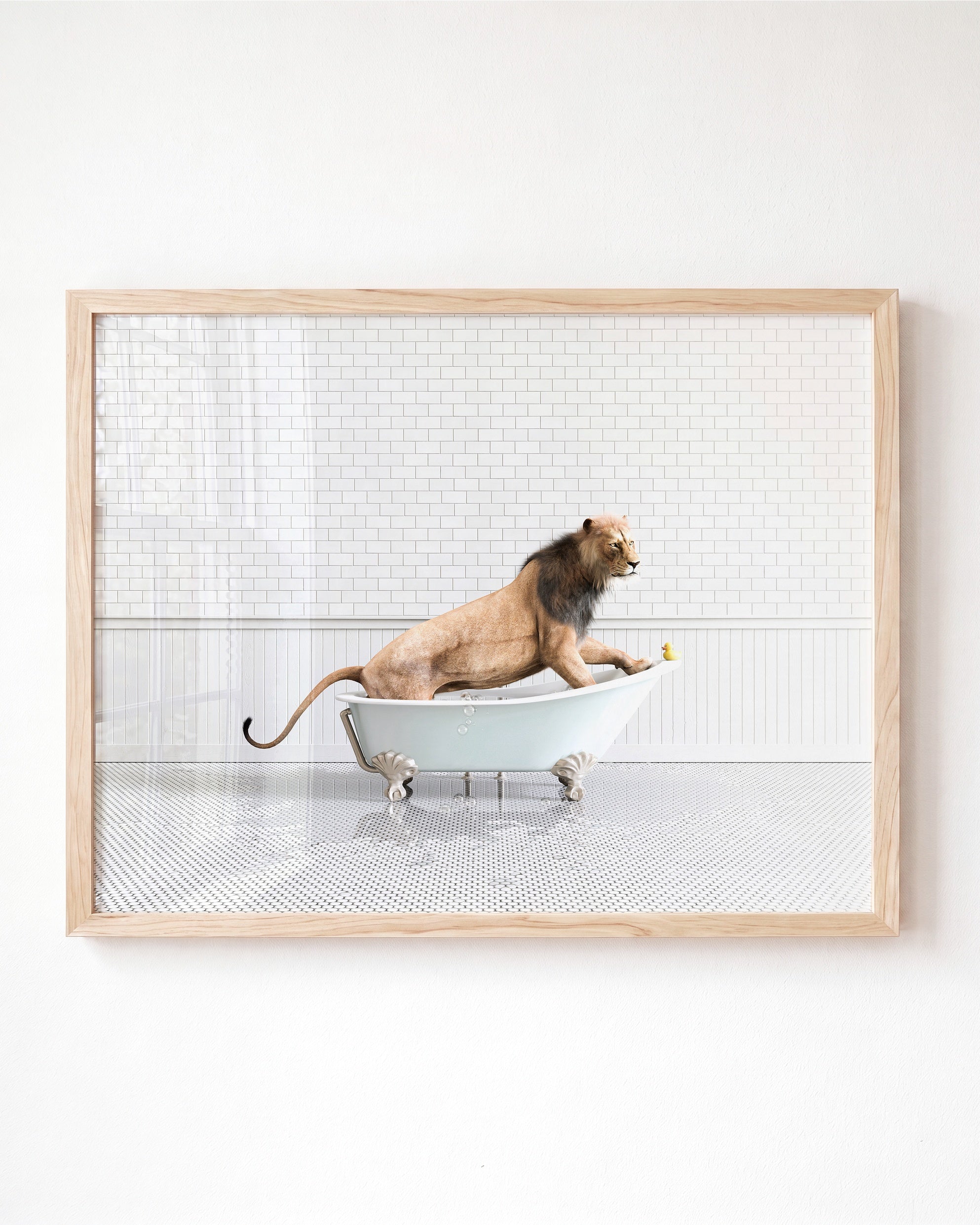 Animals in Bathtubs - Mix and Match Horizontal
