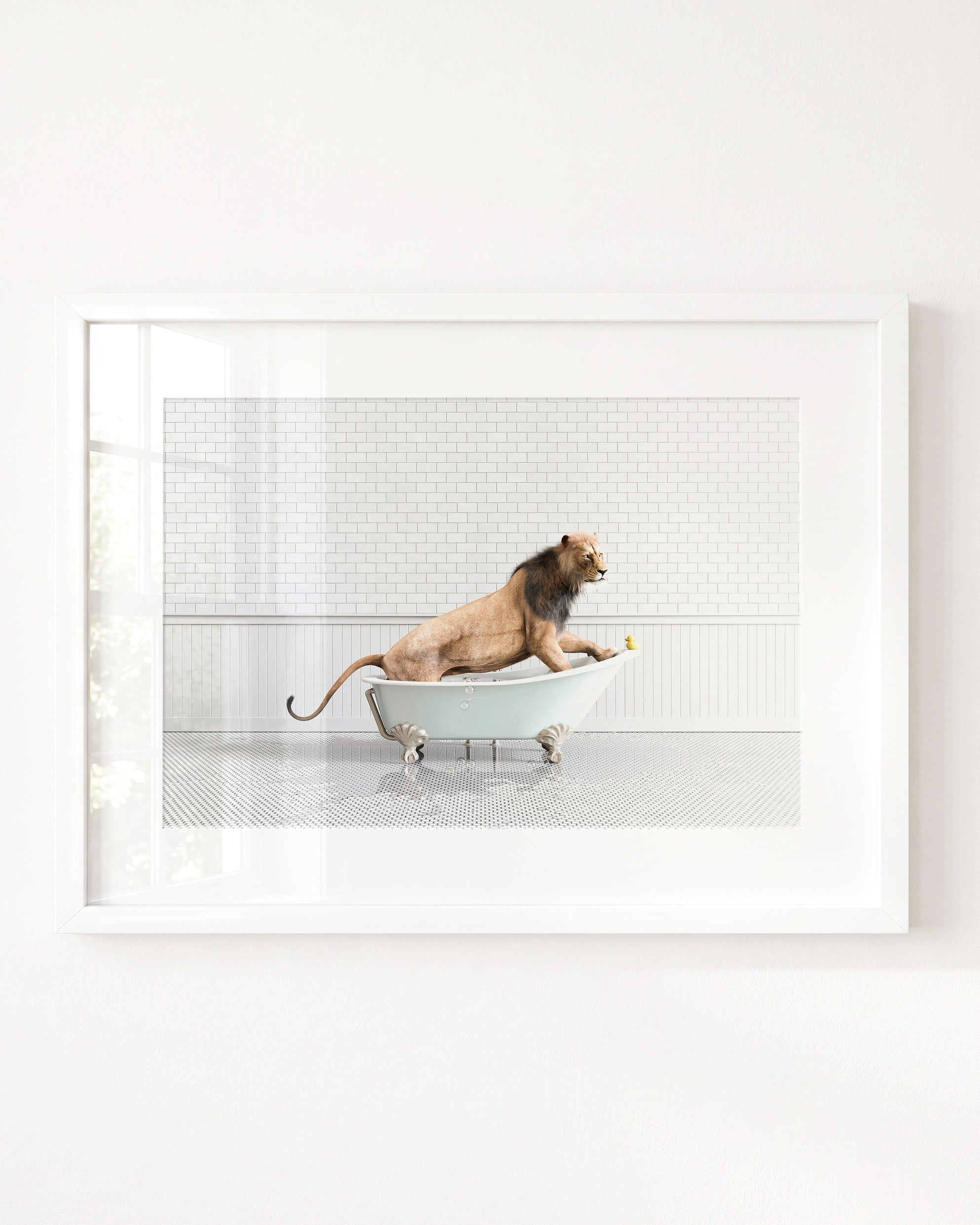 Animals in Bathtubs - Mix and Match Horizontal