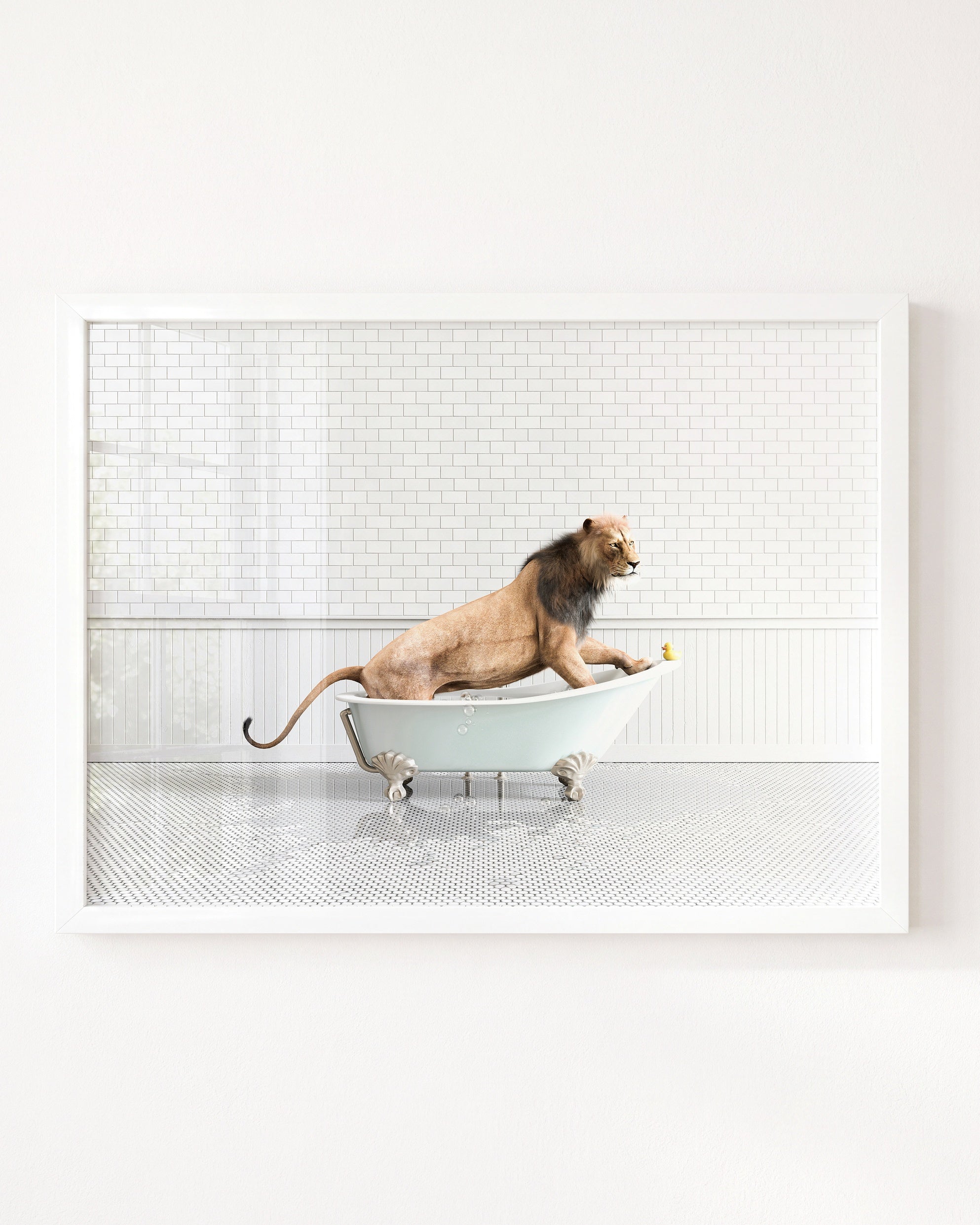 Animals in Bathtubs - Mix and Match Horizontal