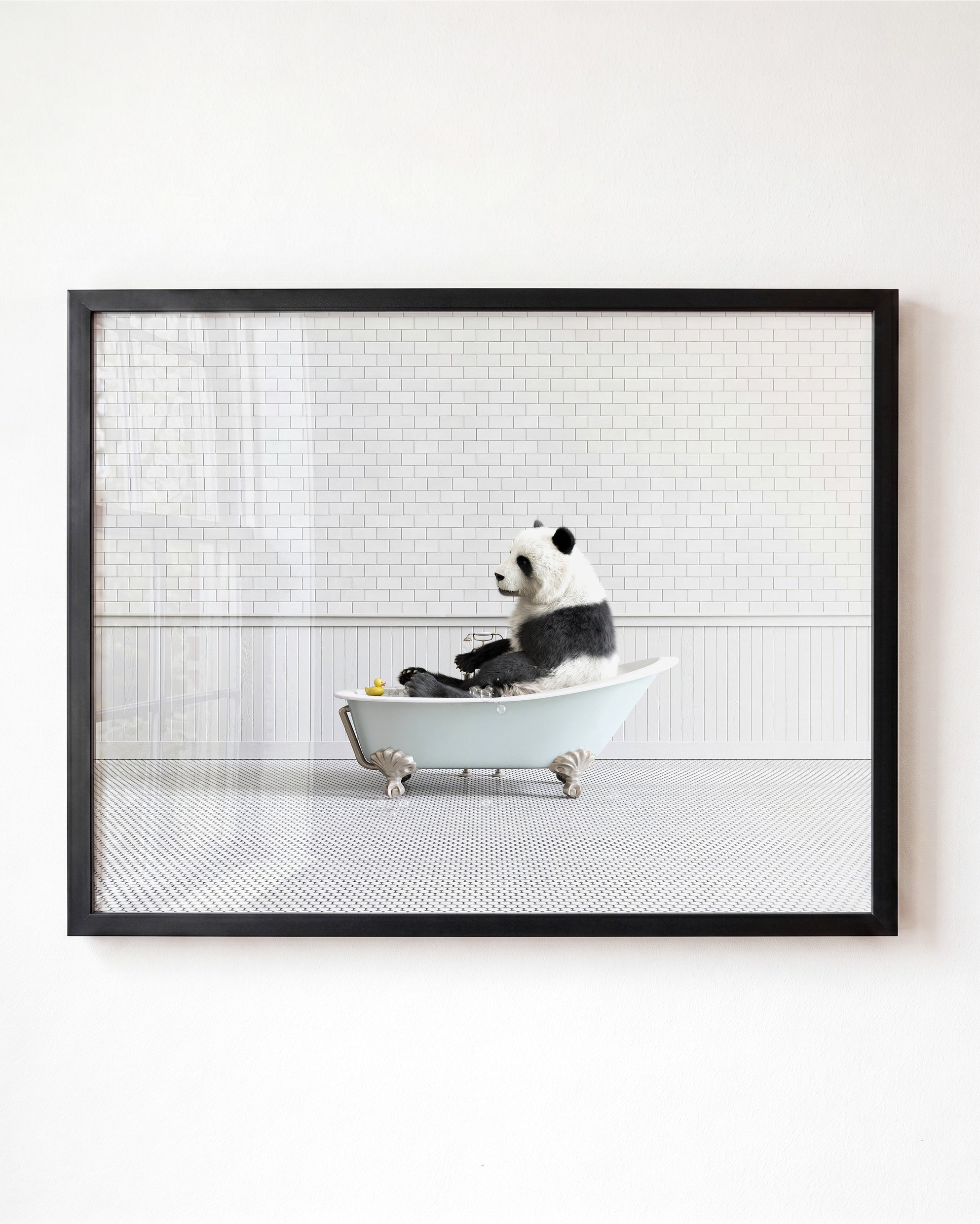 Animals in Bathtubs - Mix and Match Horizontal