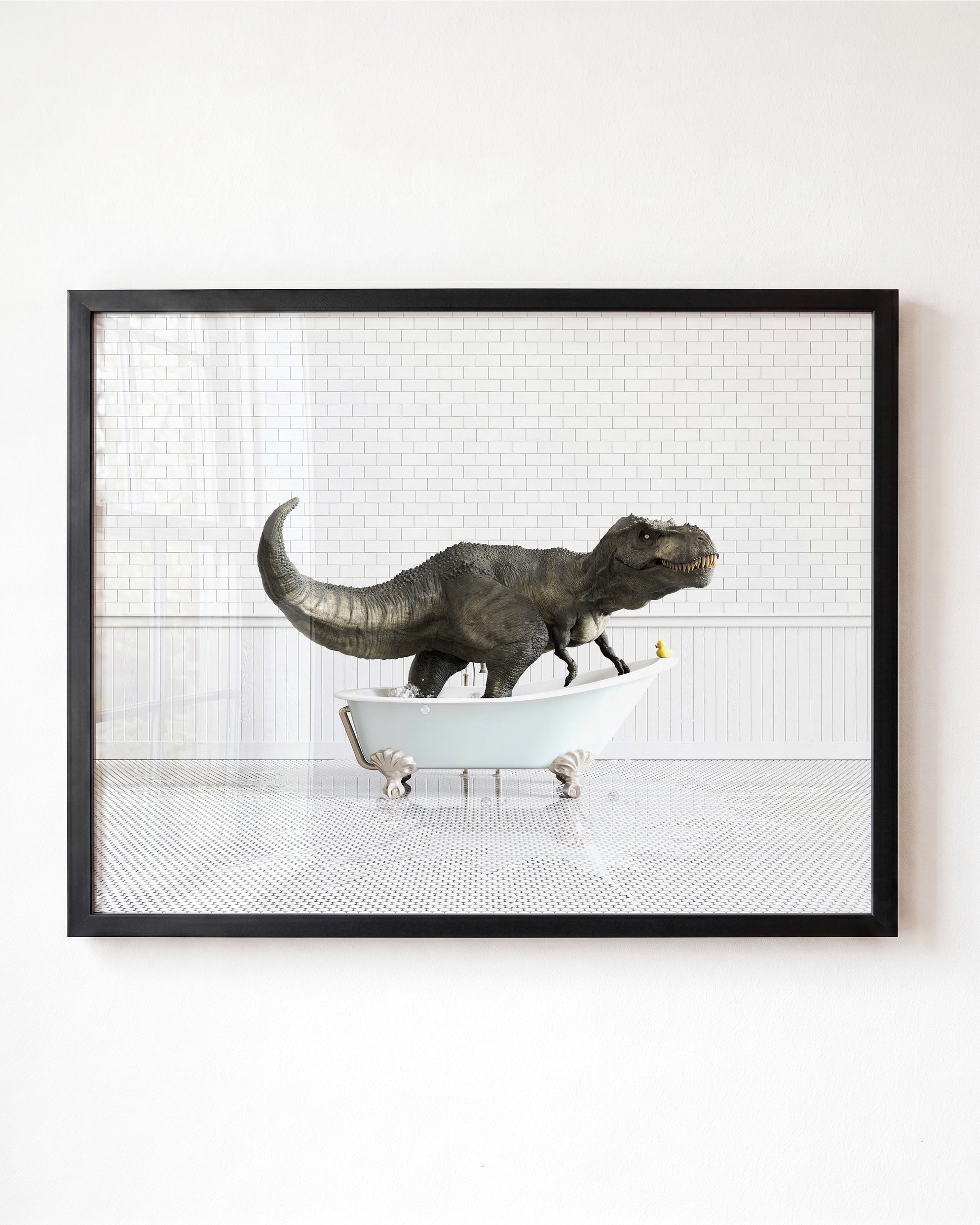 Animals in Bathtubs - Mix and Match Horizontal