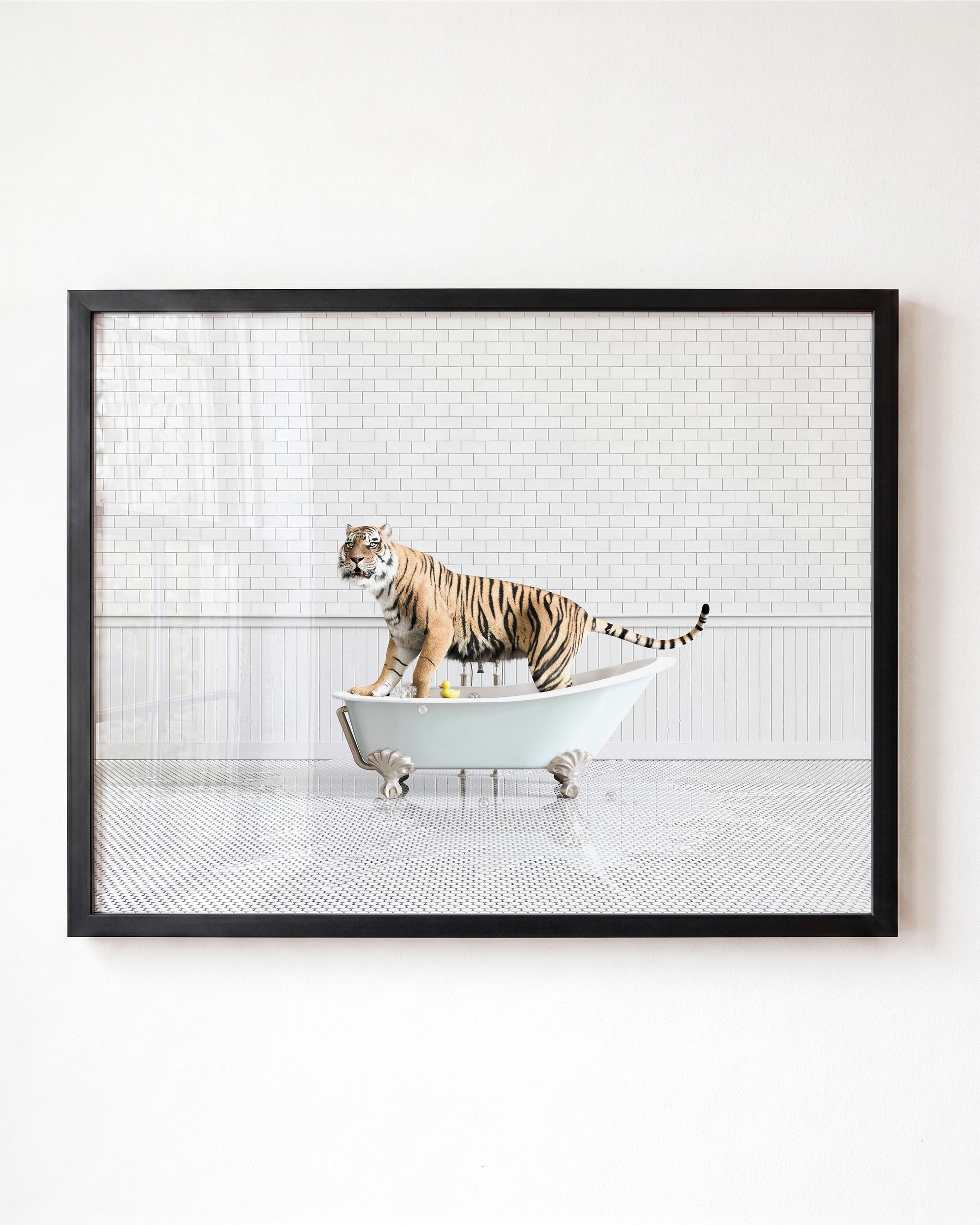 Animals in Bathtubs - Mix and Match Horizontal