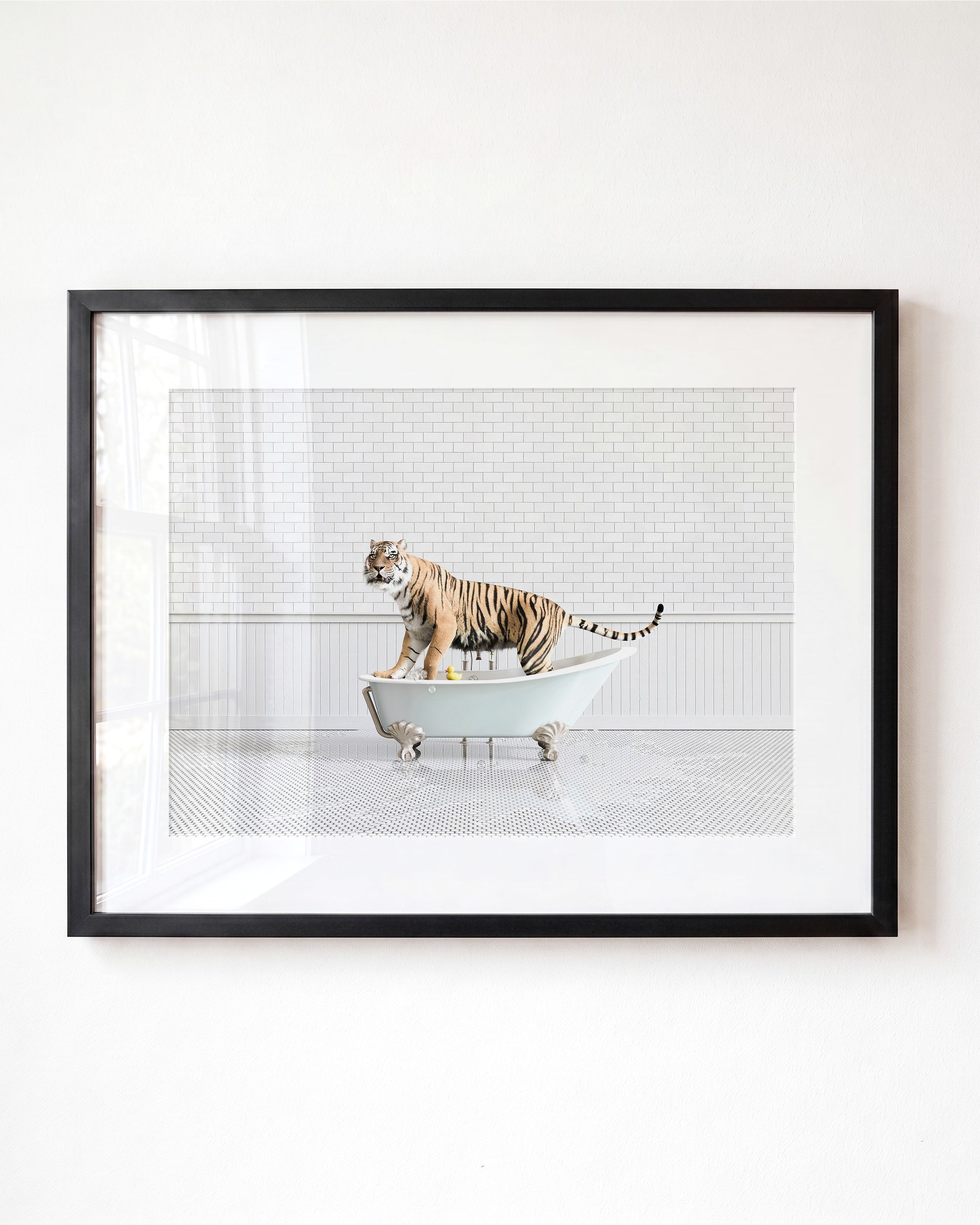 Animals in Bathtubs - Mix and Match Horizontal