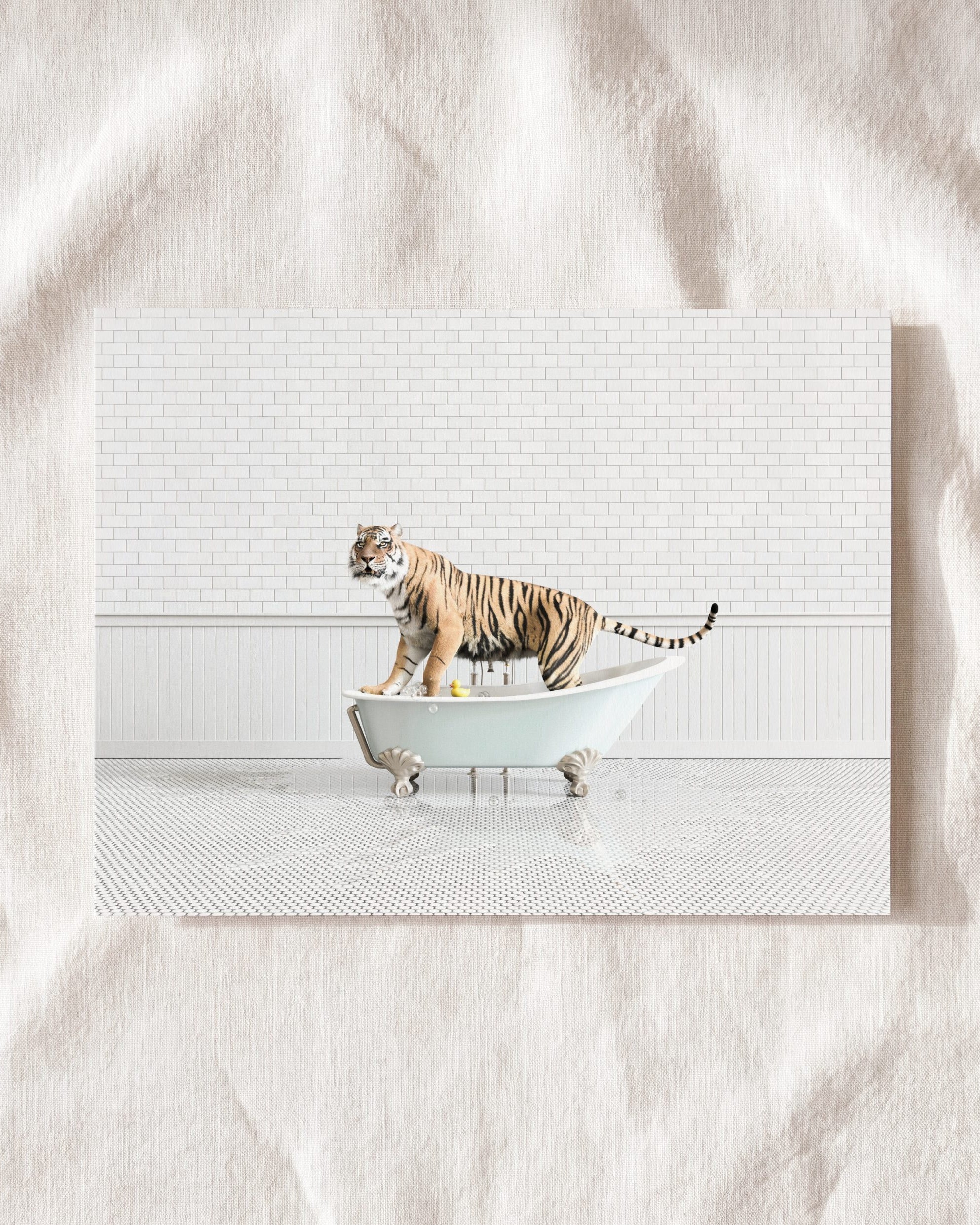 Animals in Bathtubs - Mix and Match Horizontal