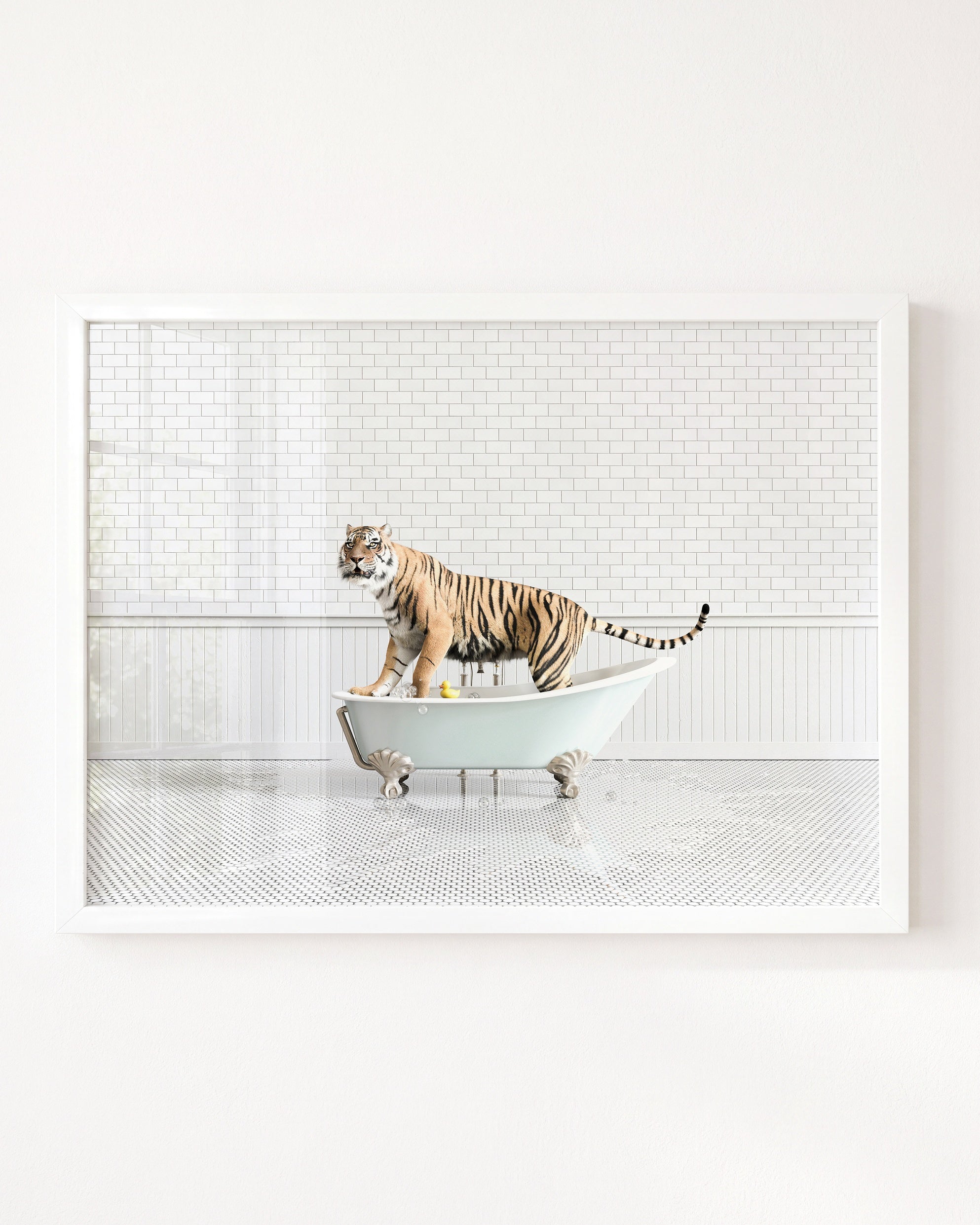 Animals in Bathtubs - Mix and Match Horizontal