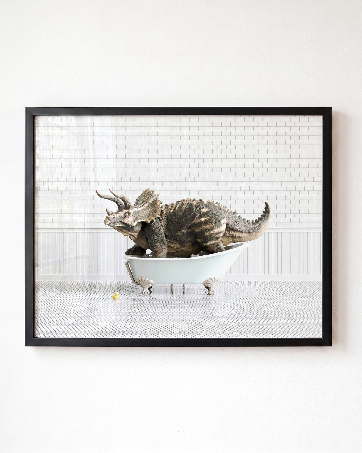 Animals in Bathtubs - Mix and Match Horizontal