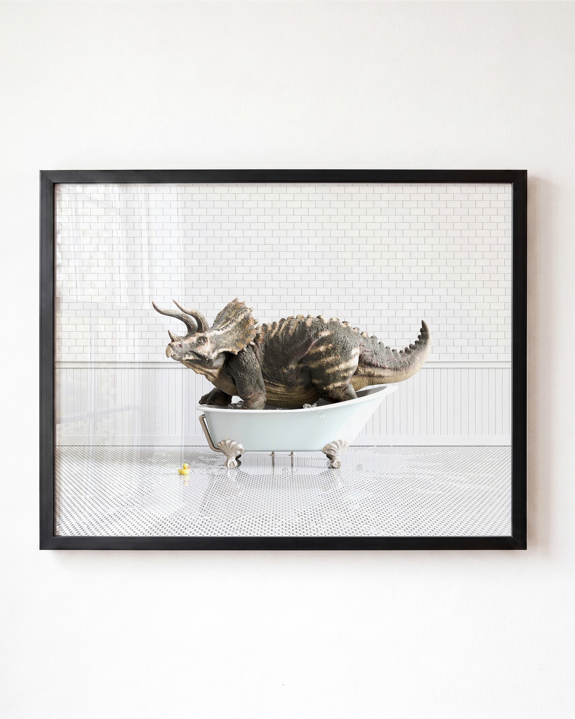 Animals in Bathtubs - Mix and Match Horizontal