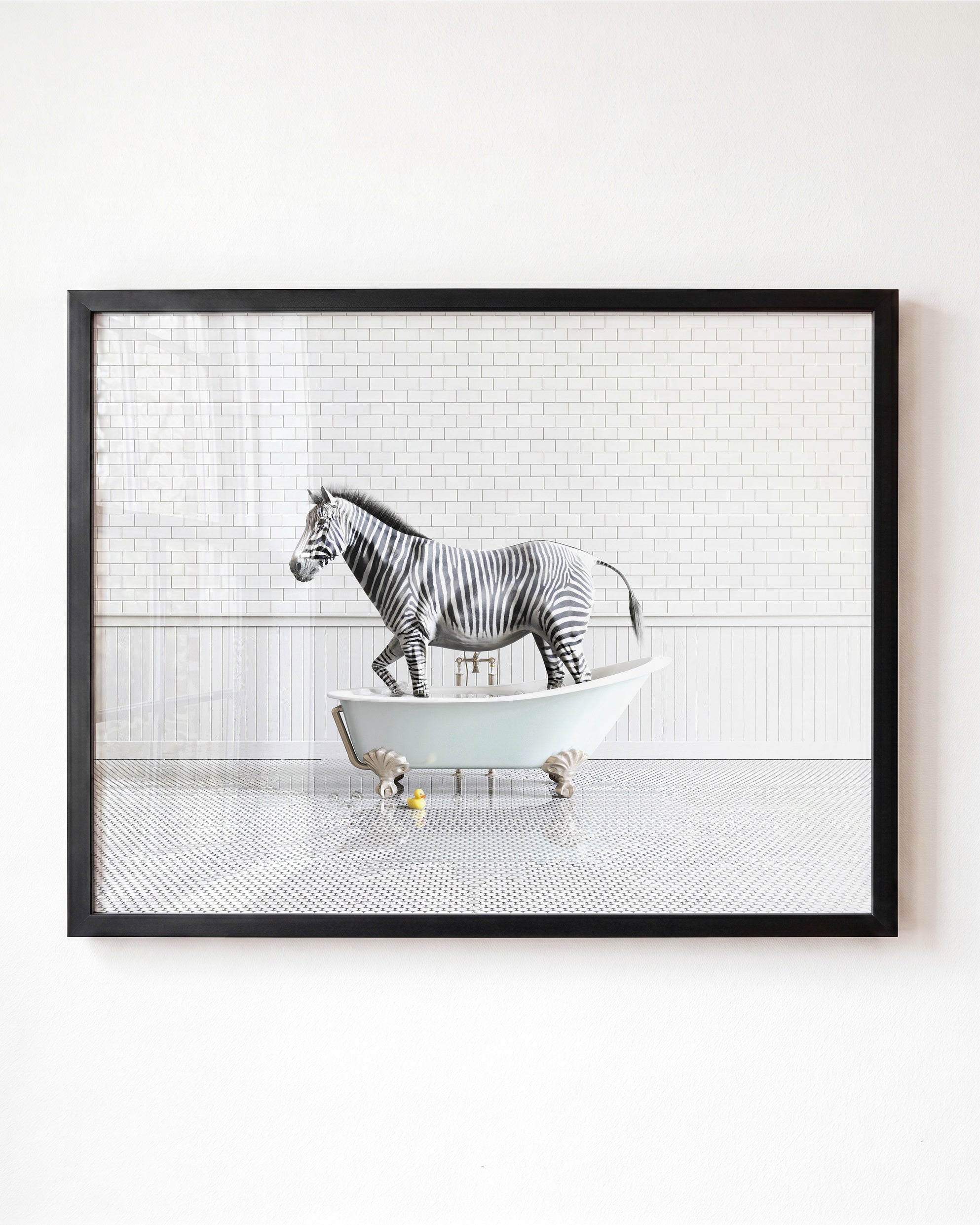 Animals in Bathtubs - Mix and Match Horizontal