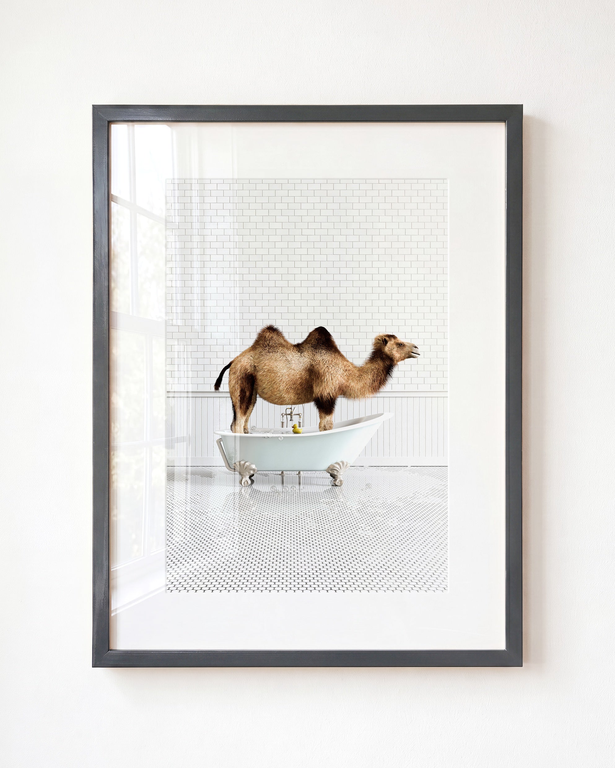 Animals in Bathtubs - Mix and Match Vertical