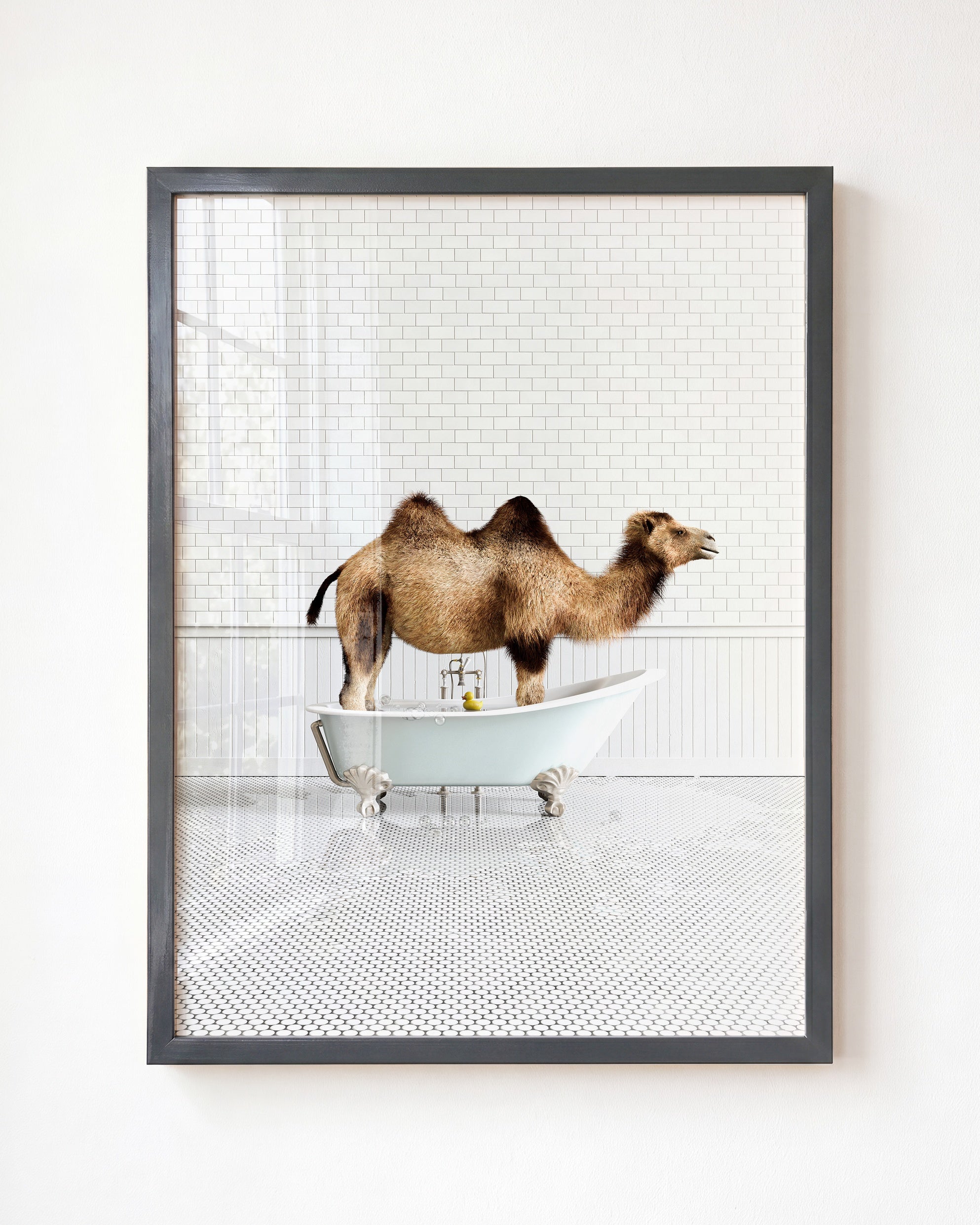 Animals in Bathtubs - Mix and Match Vertical