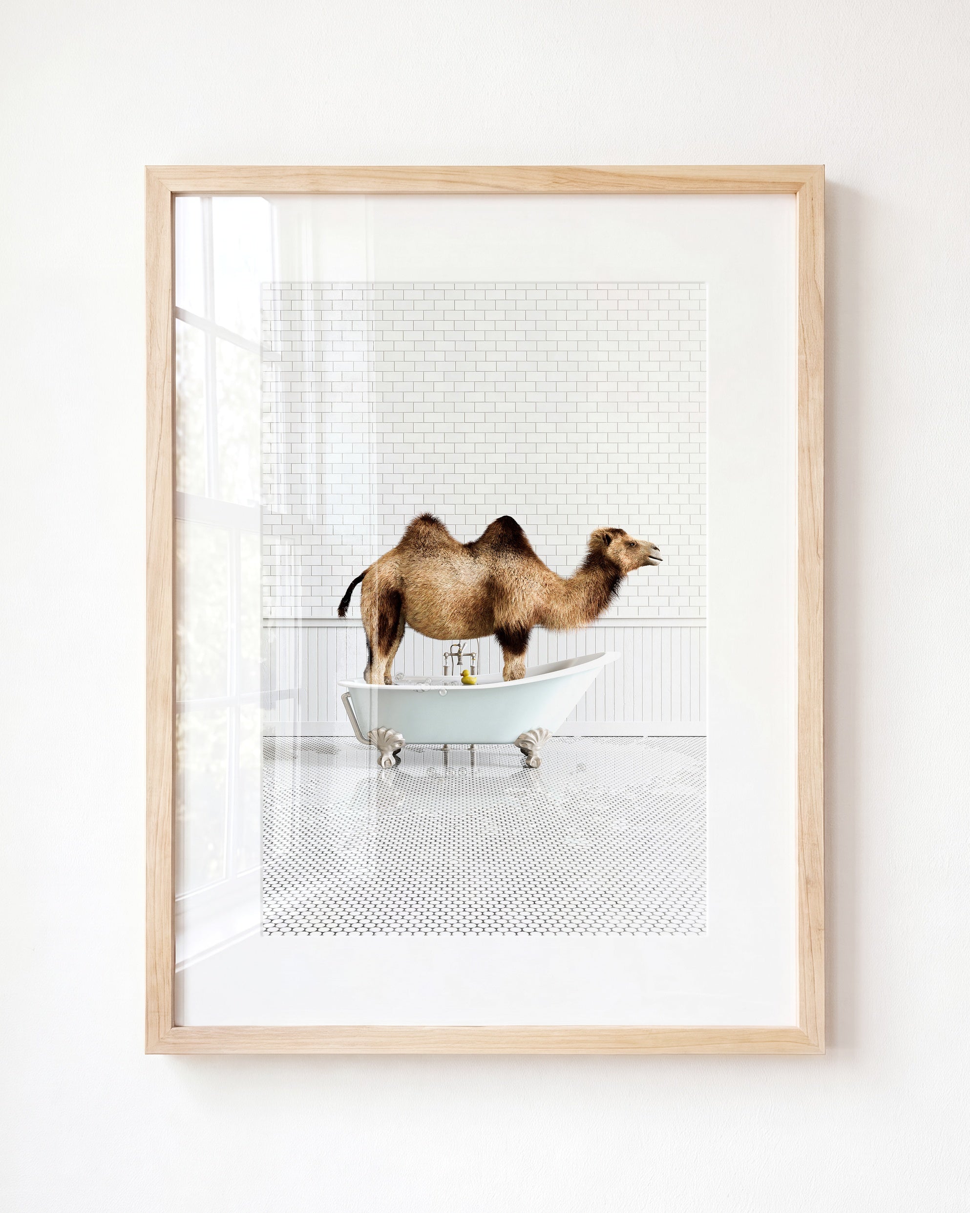 Animals in Bathtubs - Mix and Match Vertical