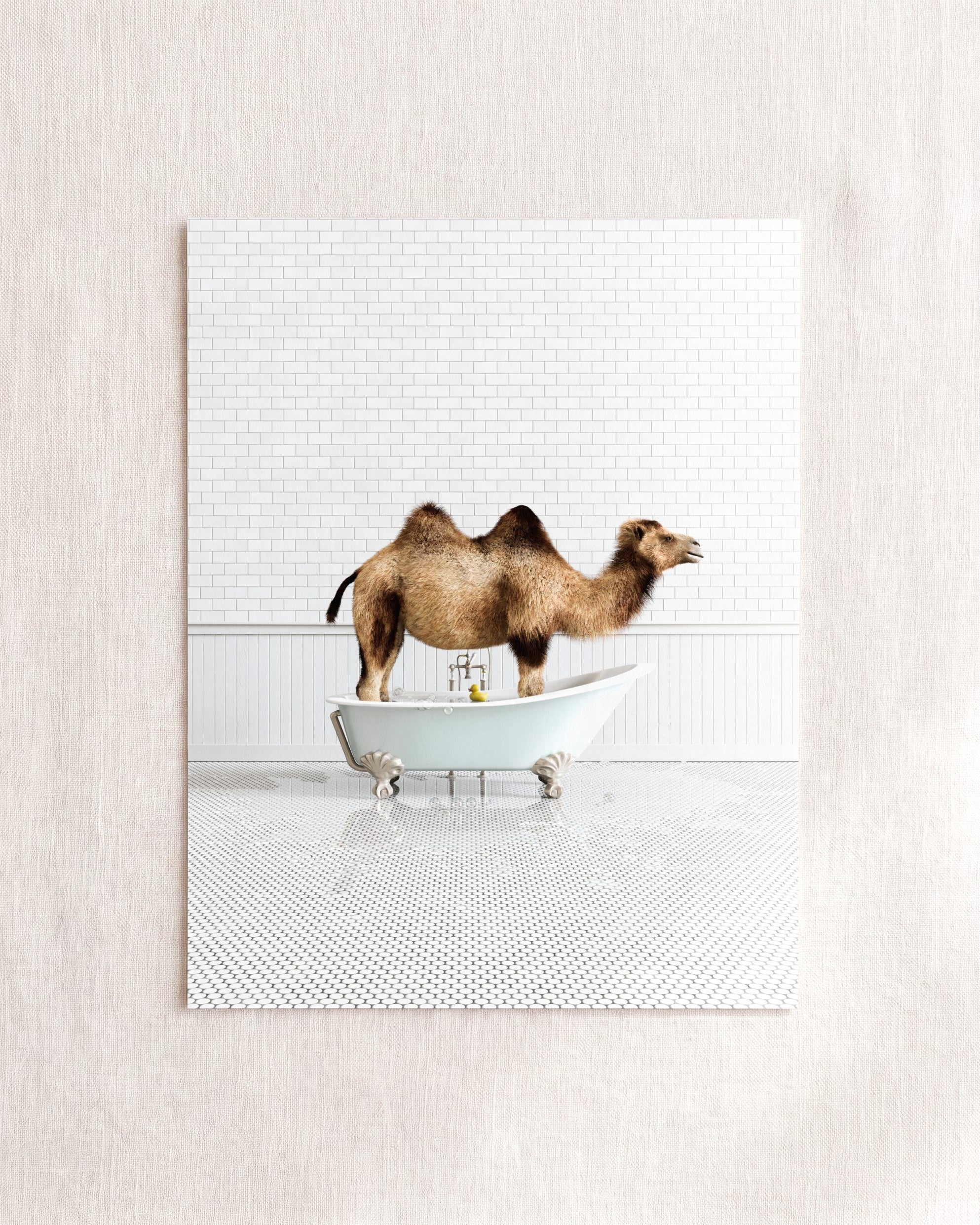 Animals in Bathtubs - Mix and Match Vertical