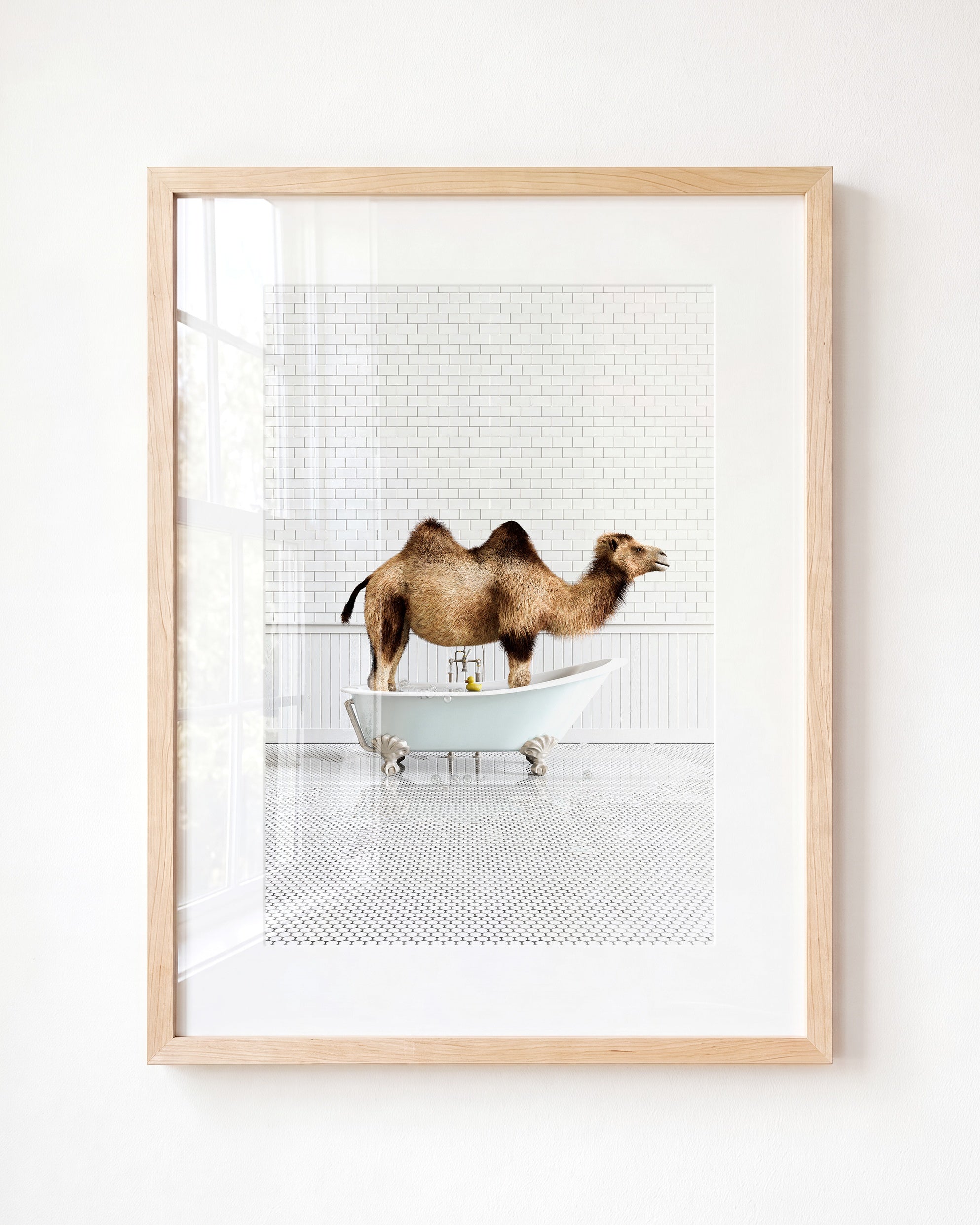 Animals in Bathtubs - Mix and Match Vertical