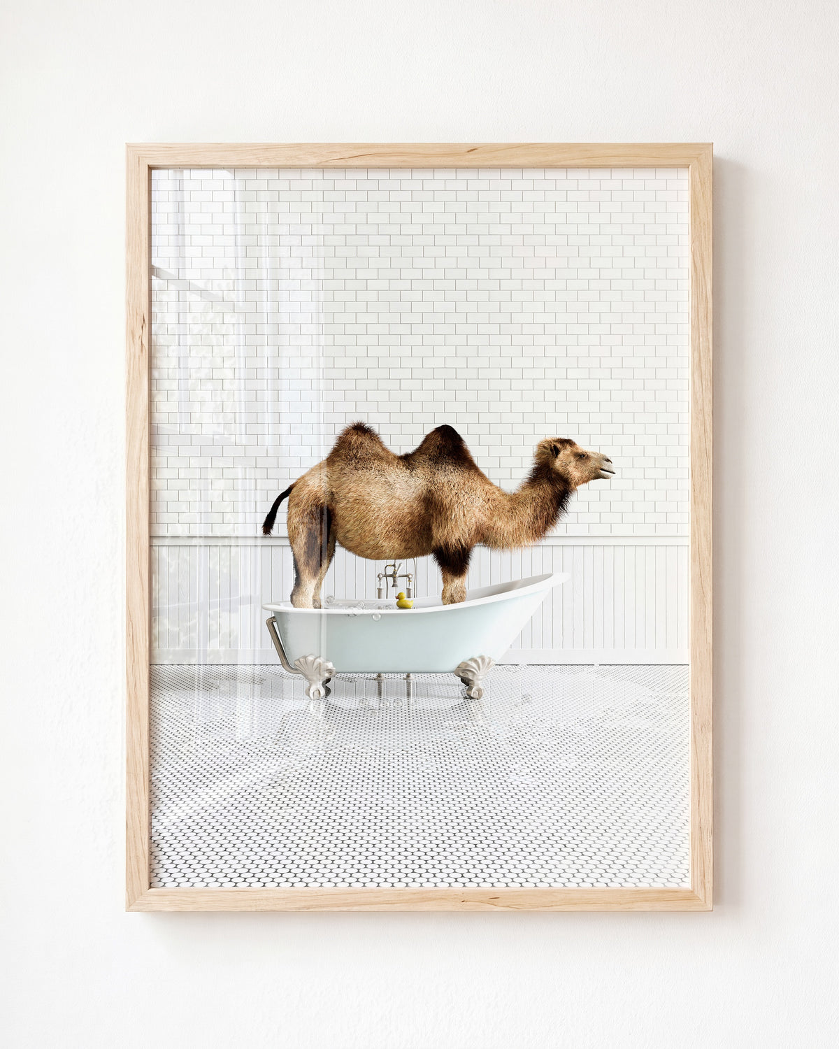 Animals in Bathtubs - Mix and Match Vertical