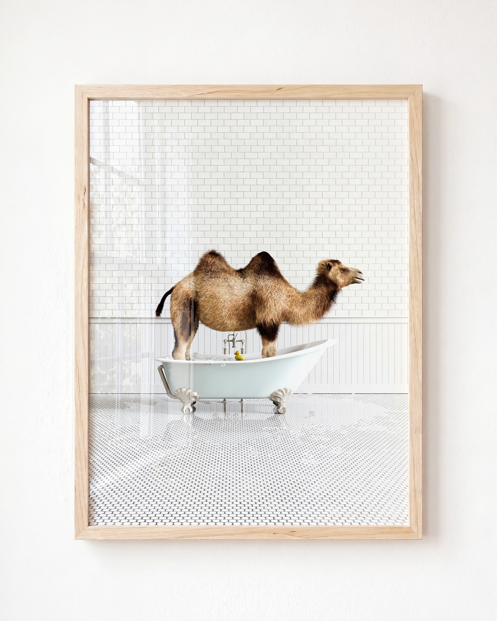 Animals in Bathtubs - Mix and Match Vertical