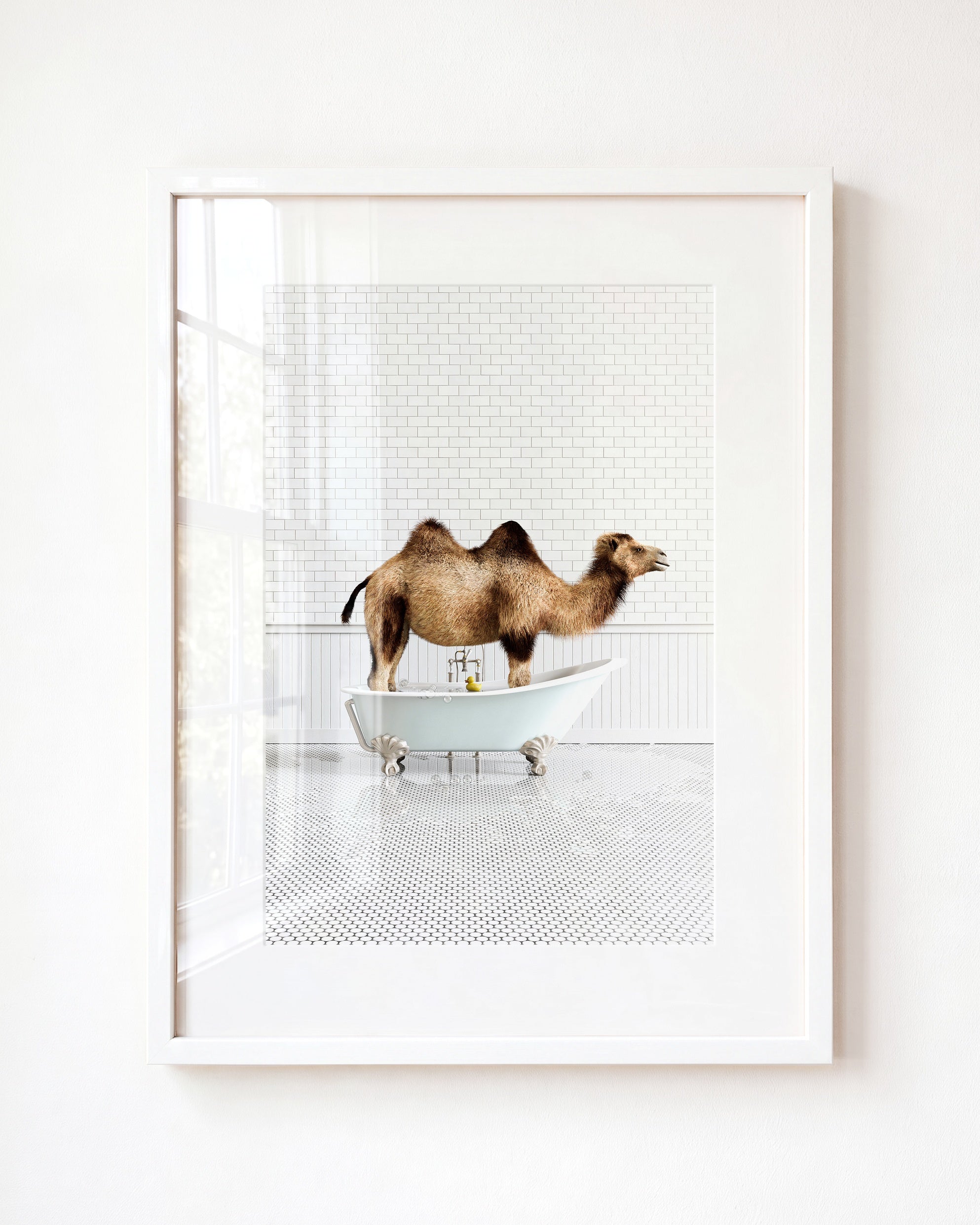 Animals in Bathtubs - Mix and Match Vertical