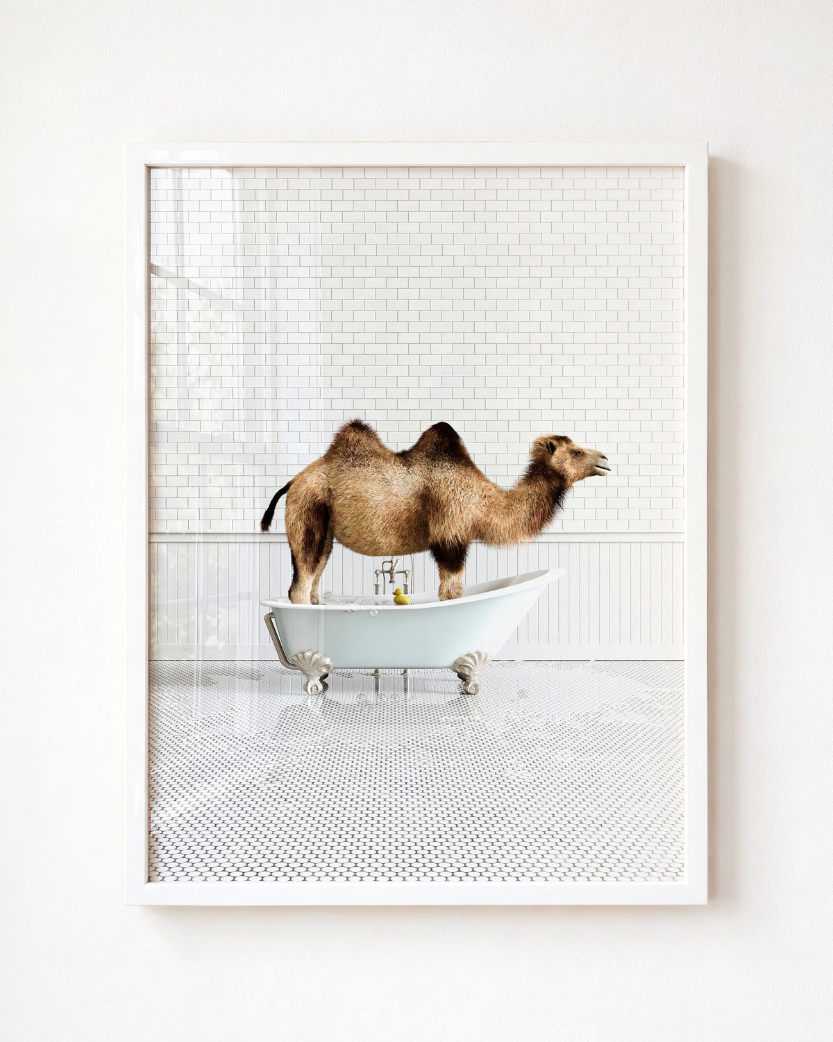 Animals in Bathtubs - Mix and Match Vertical