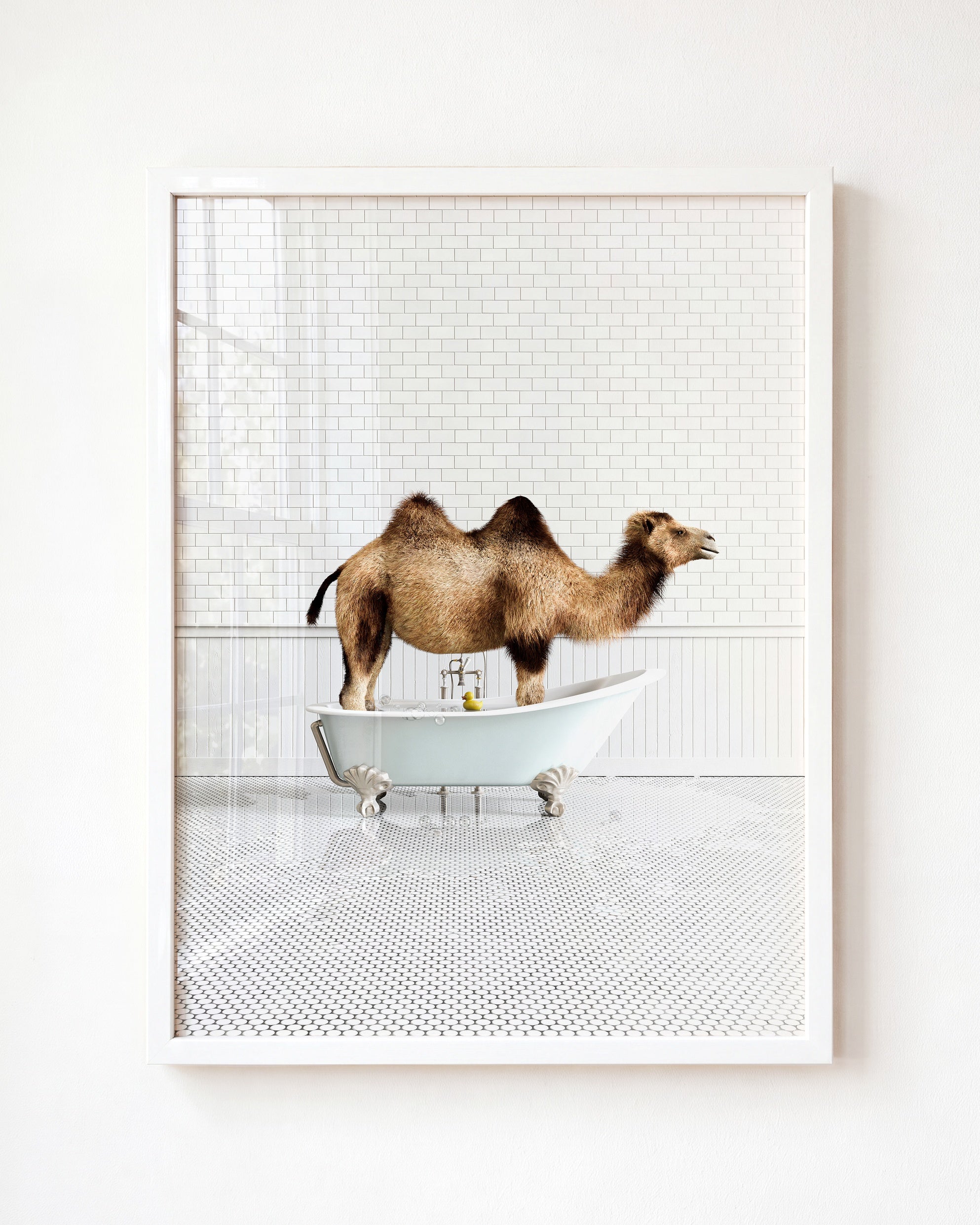 Animals in Bathtubs - Mix and Match Vertical