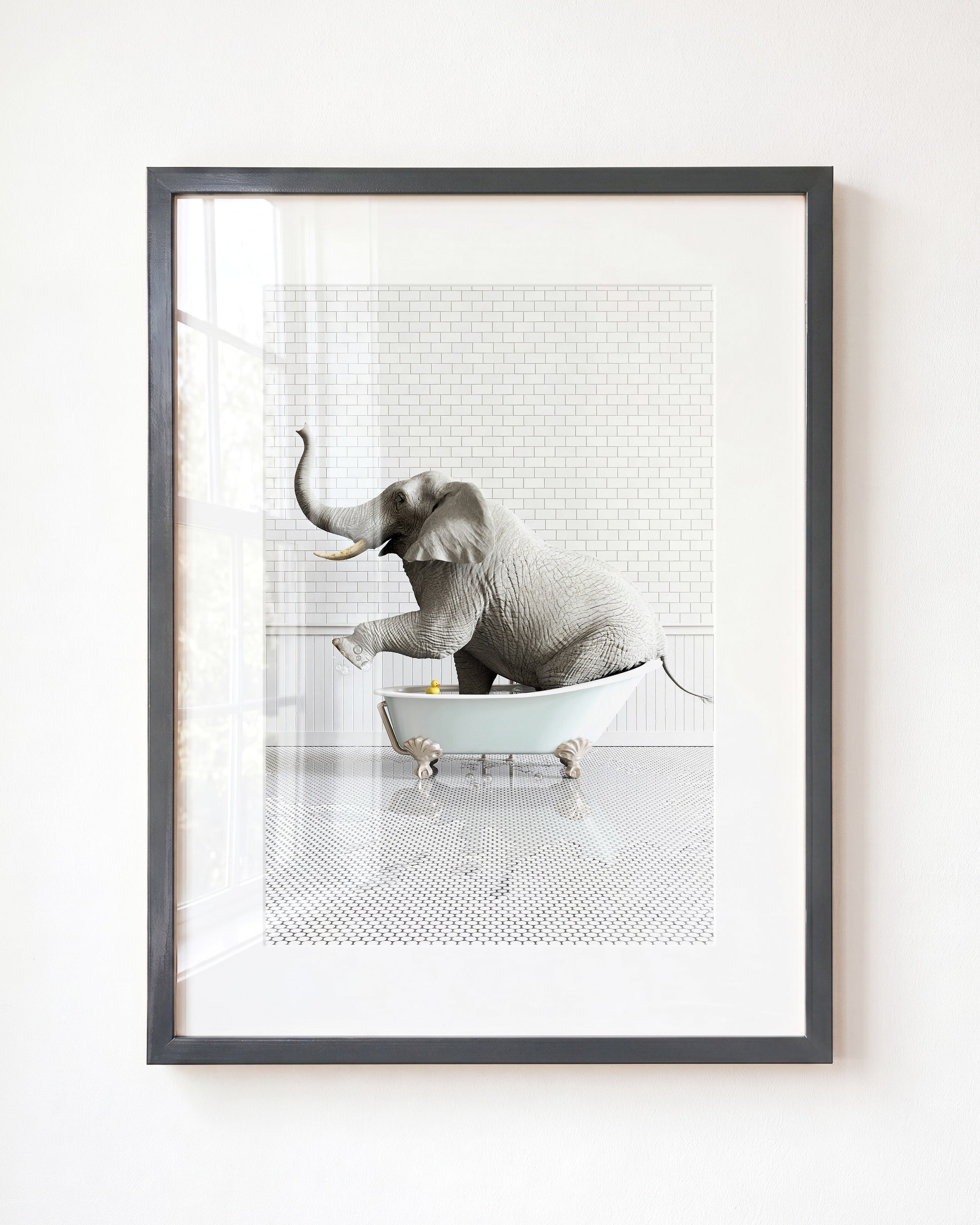 Animals in Bathtubs - Mix and Match Vertical
