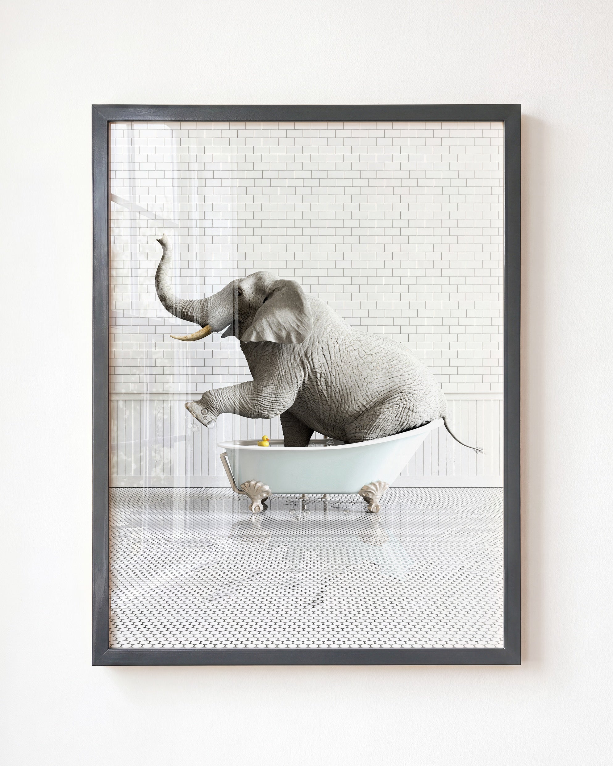 Animals in Bathtubs - Mix and Match Vertical