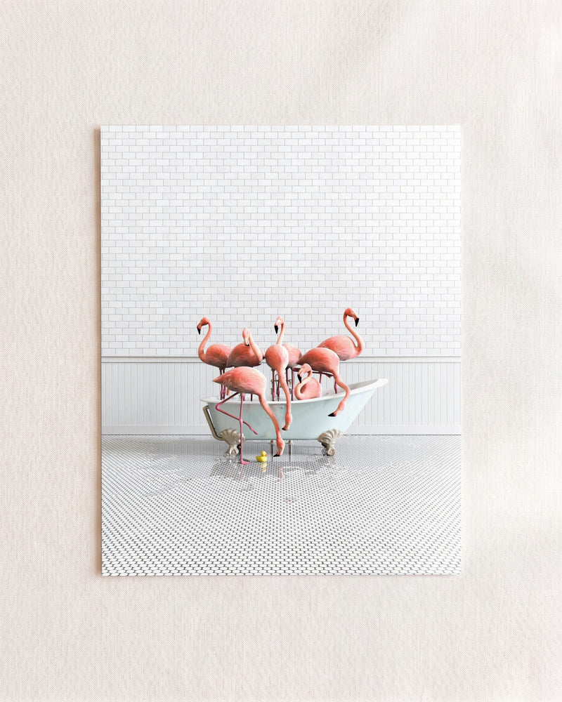 Flamingos