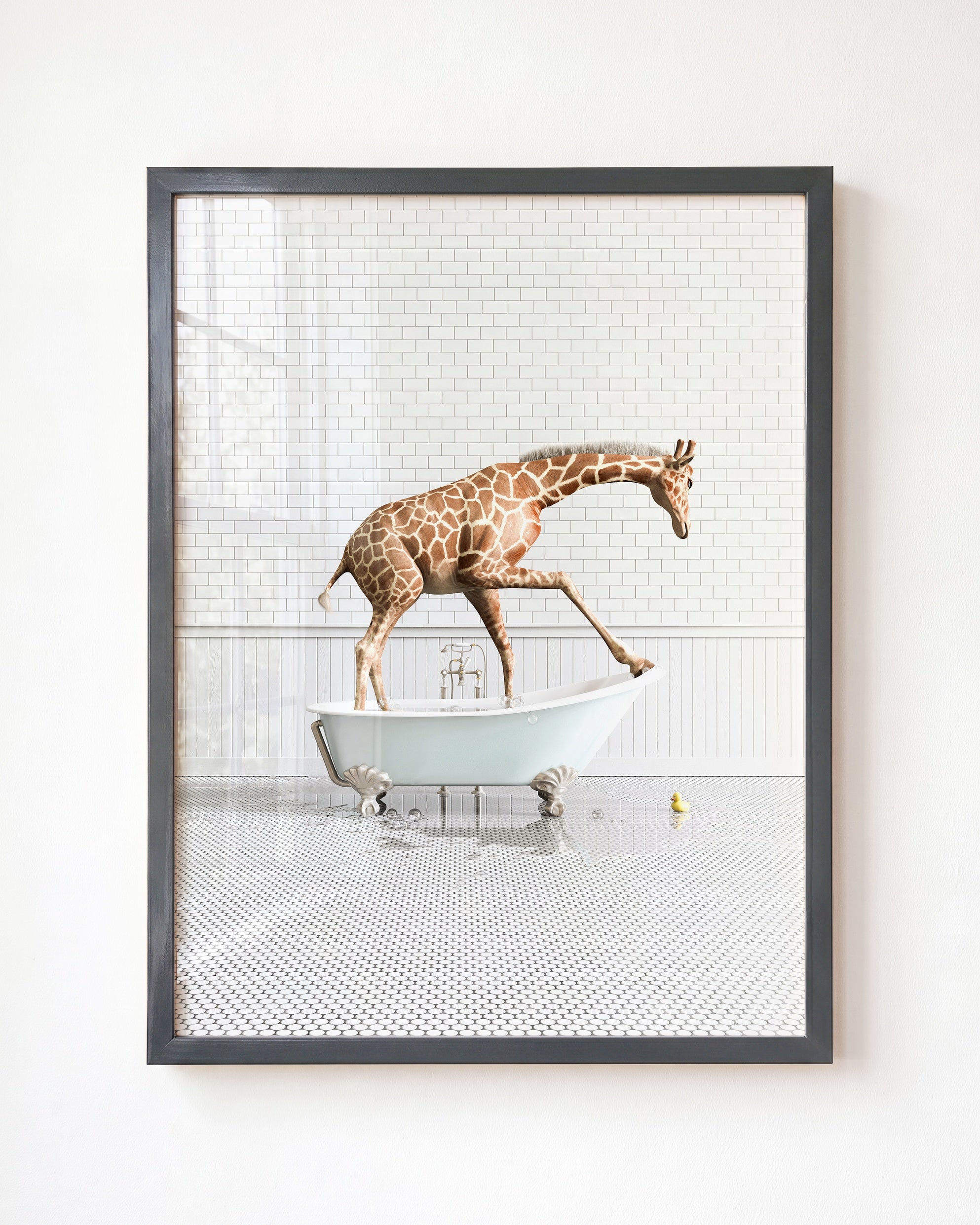 Animals in Bathtubs - Mix and Match Vertical