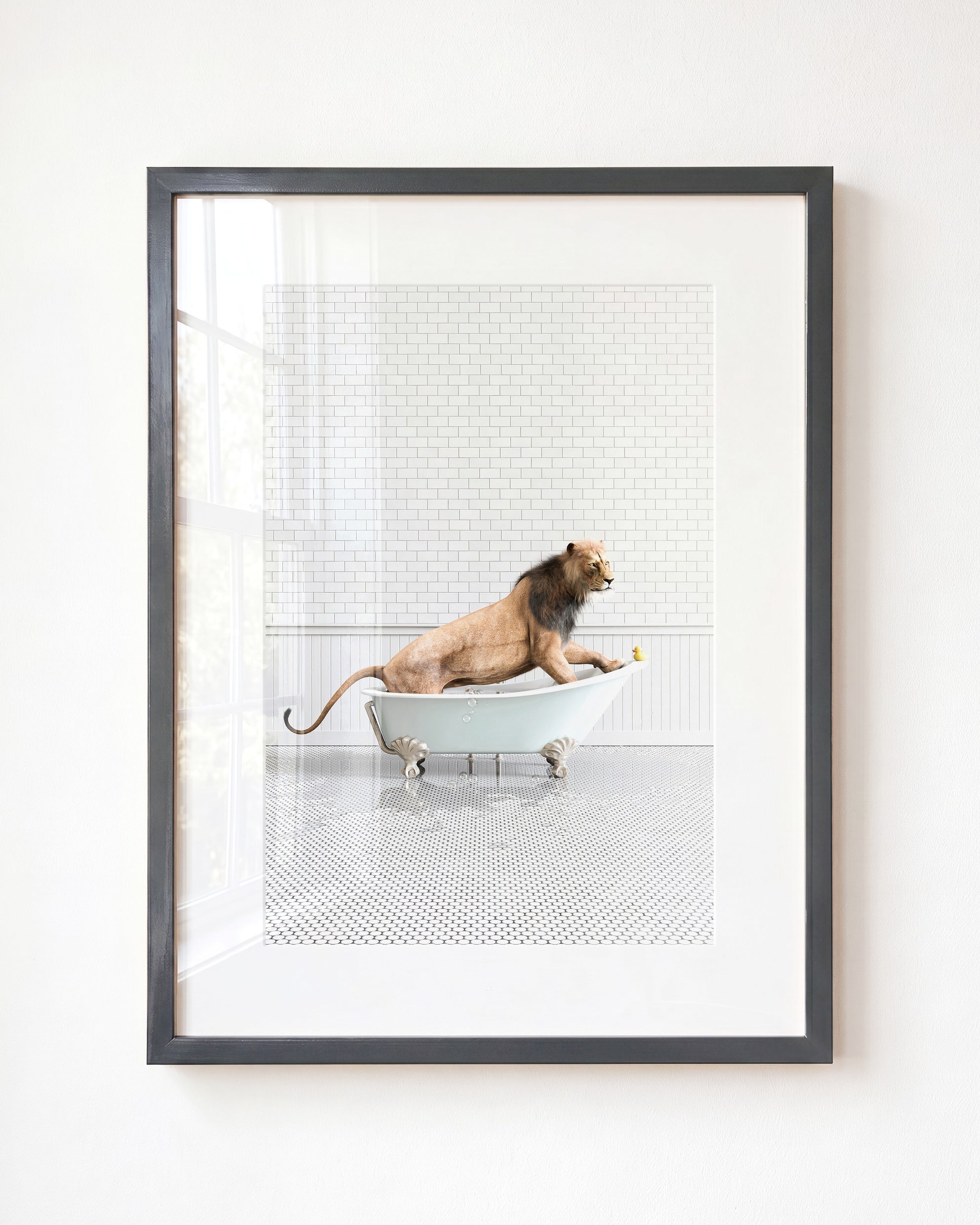 Animals in Bathtubs - Mix and Match Vertical