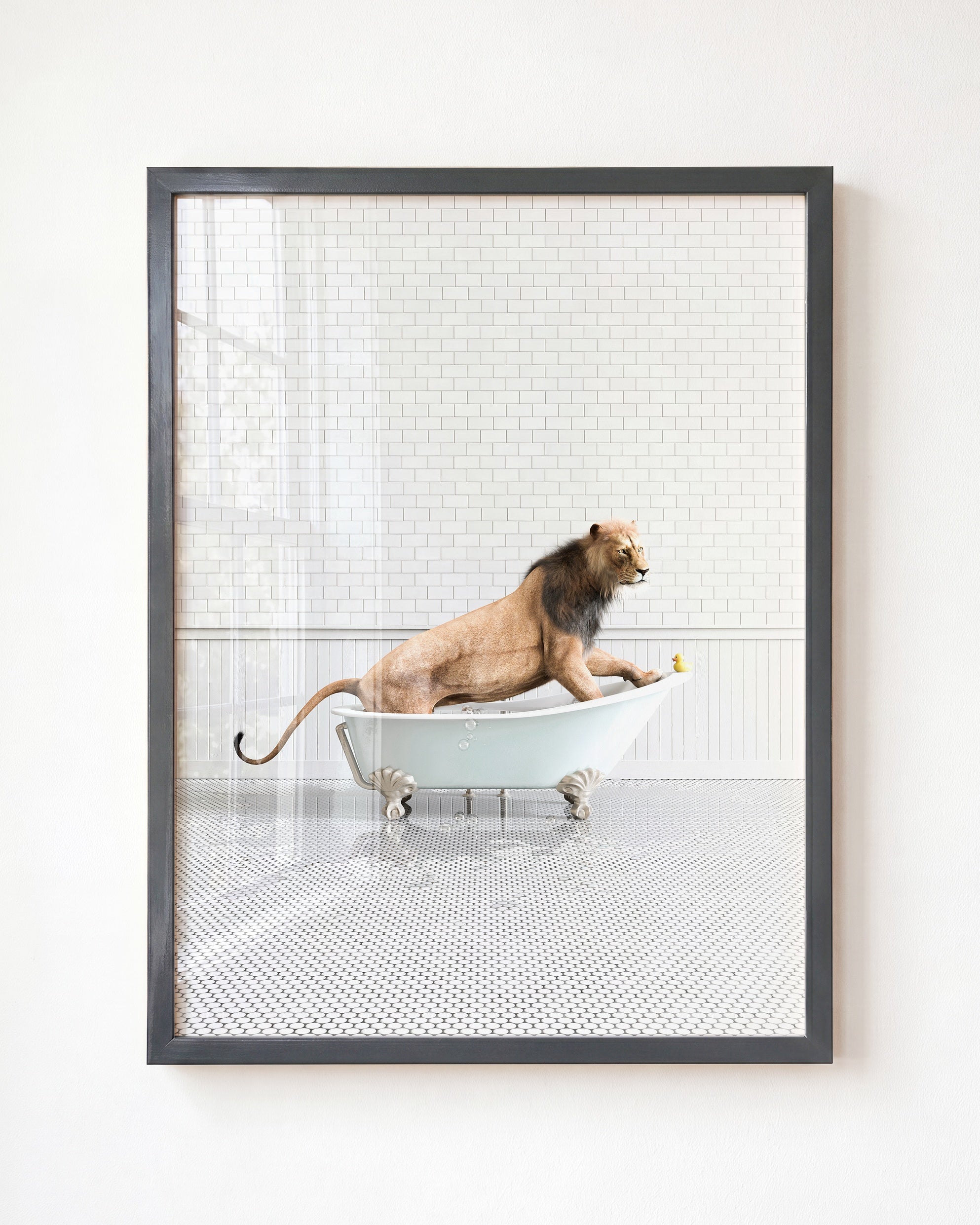 Animals in Bathtubs - Mix and Match Vertical