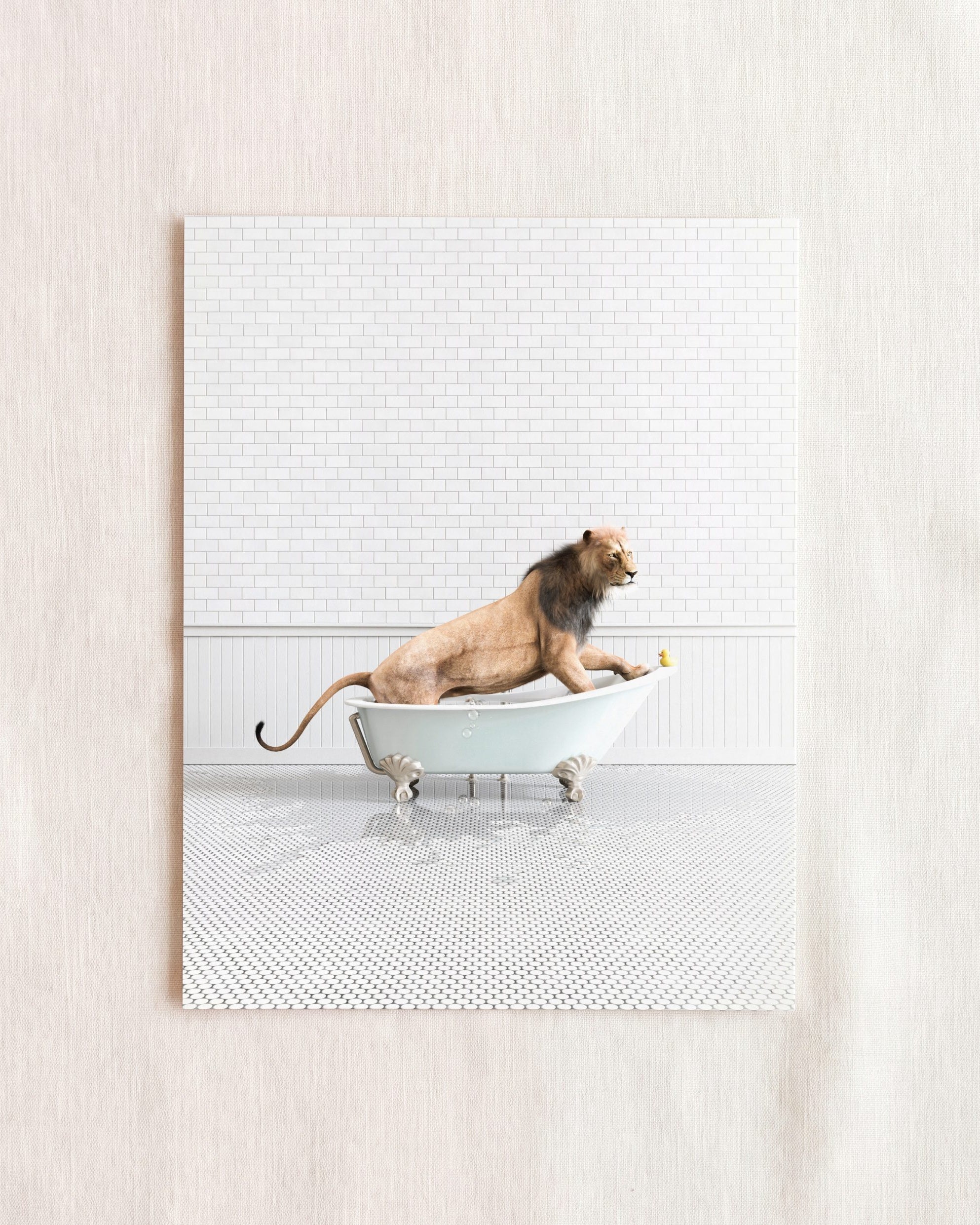 Animals in Bathtubs - Mix and Match Vertical