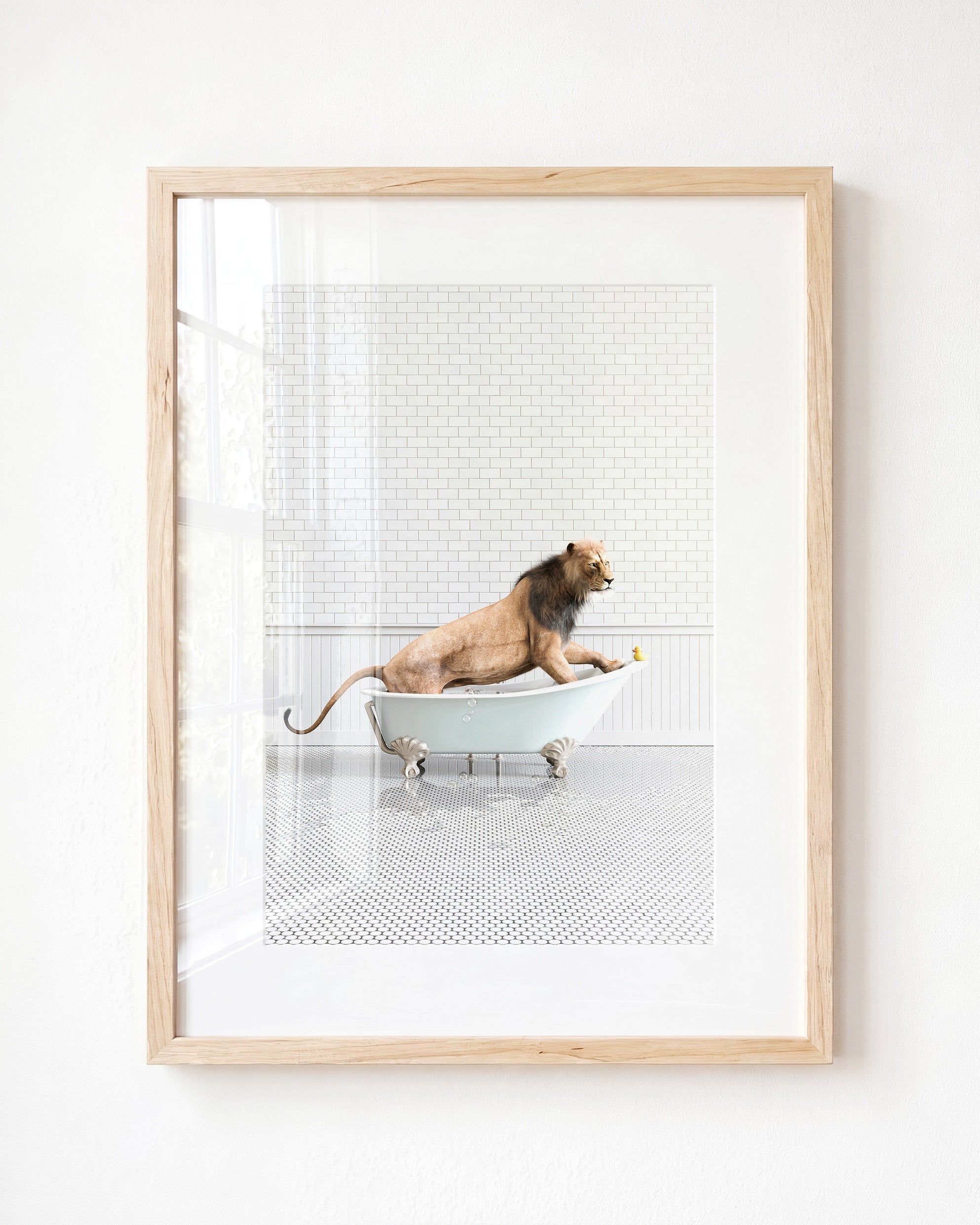 Animals in Bathtubs - Mix and Match Vertical