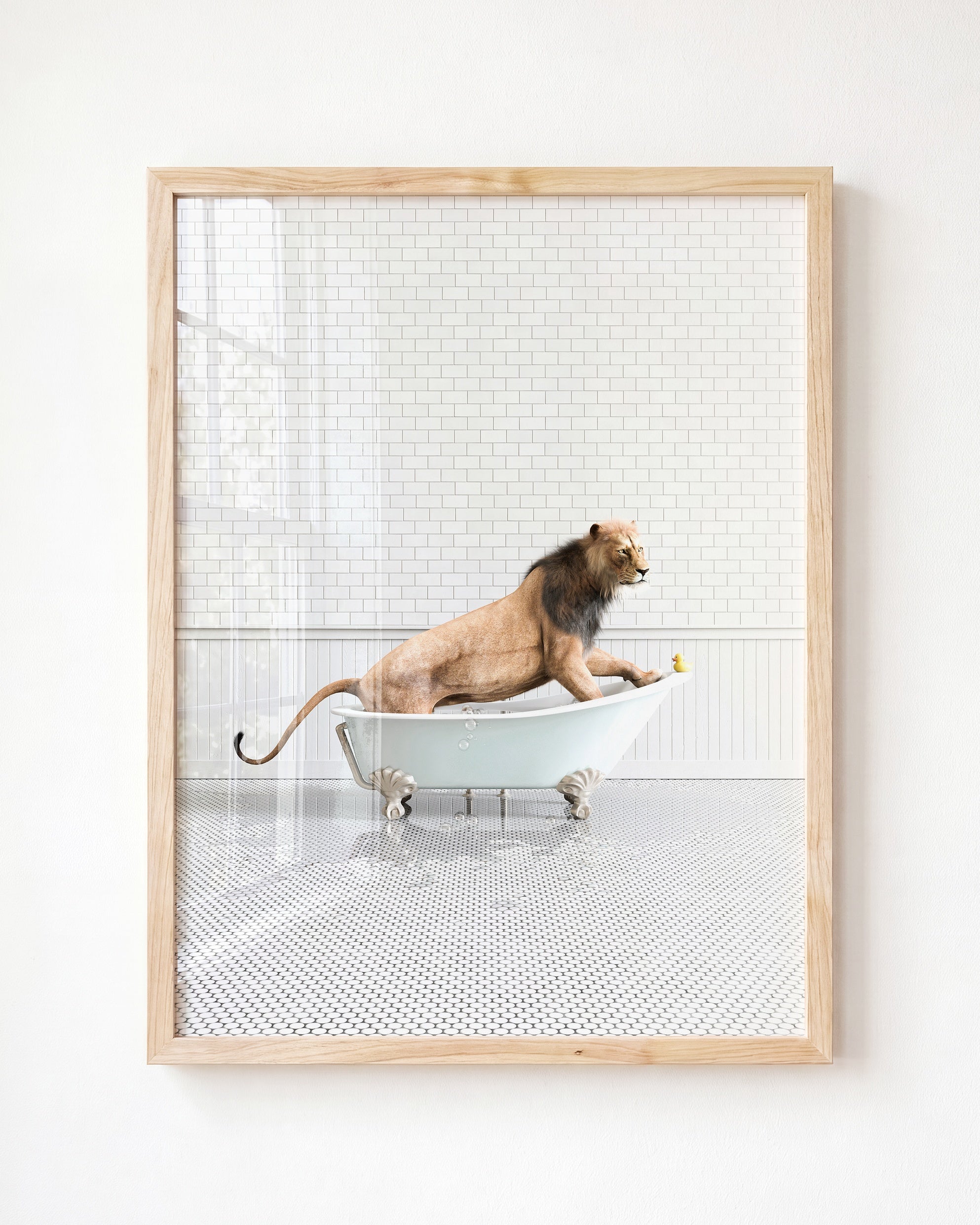 Animals in Bathtubs - Mix and Match Vertical