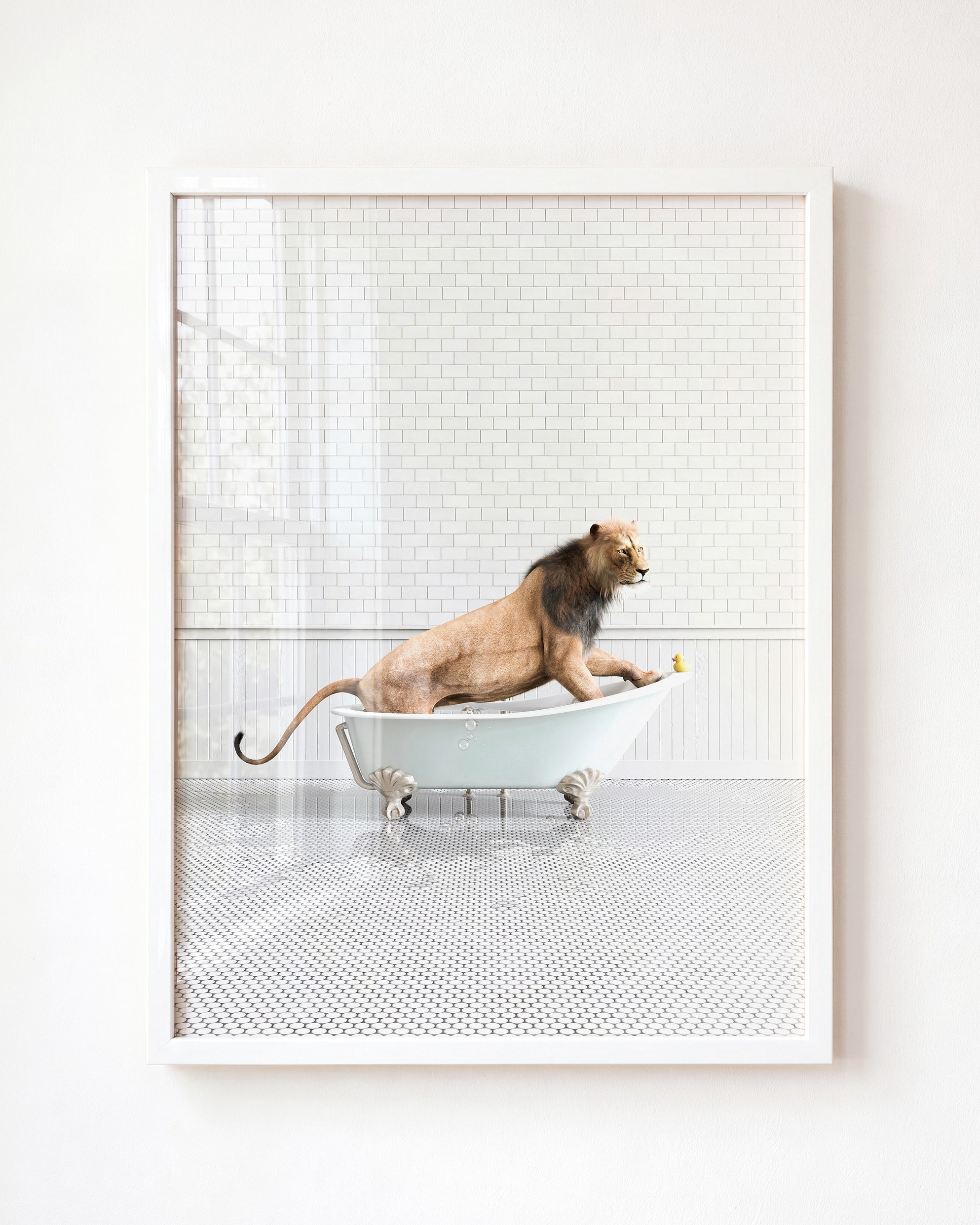 Animals in Bathtubs - Mix and Match Vertical