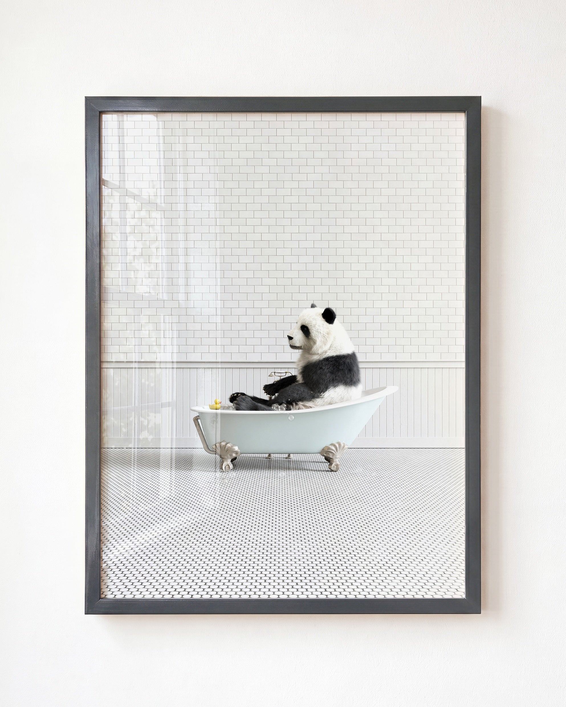 Animals in Bathtubs - Mix and Match Vertical