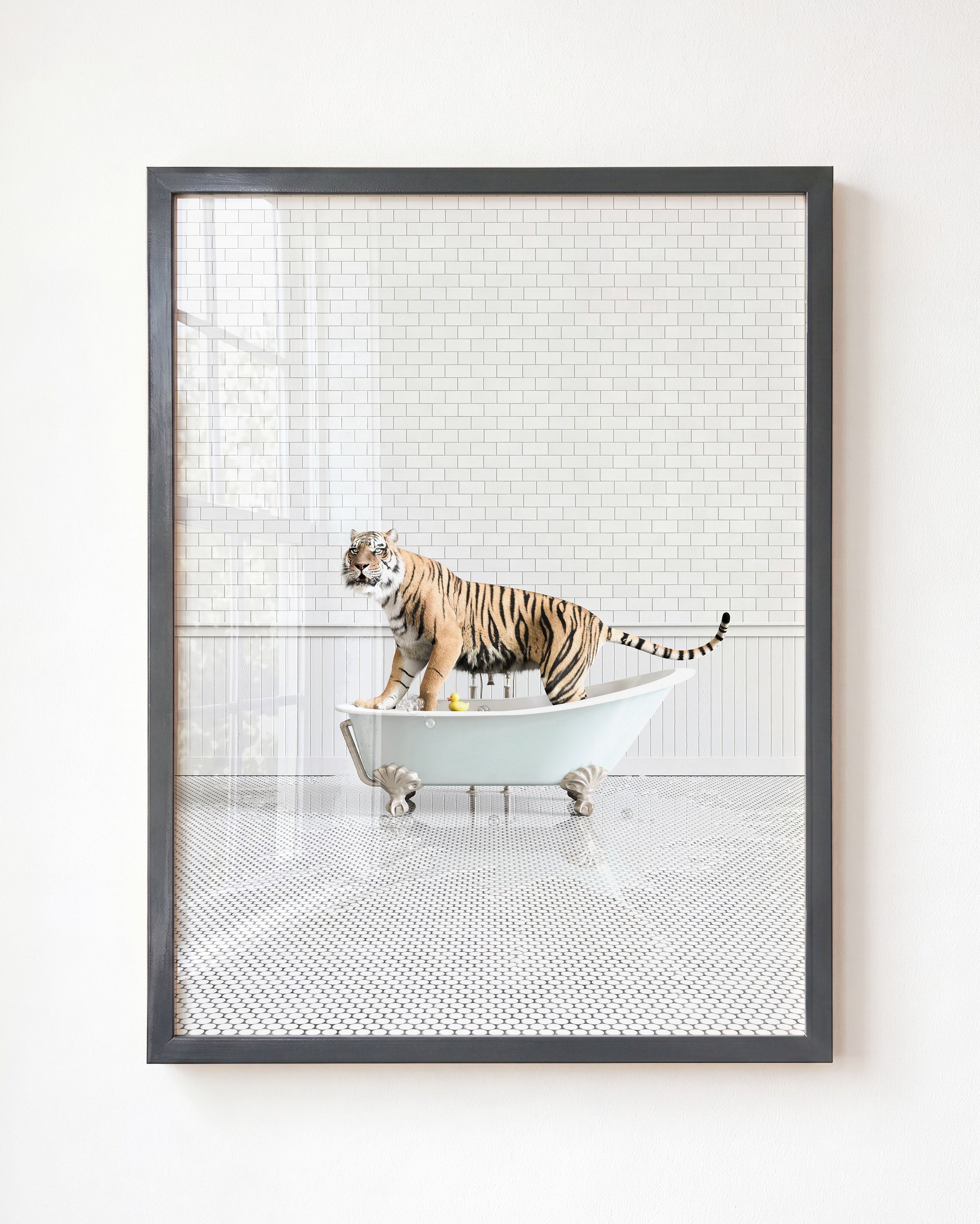 Animals in Bathtubs - Mix and Match Vertical