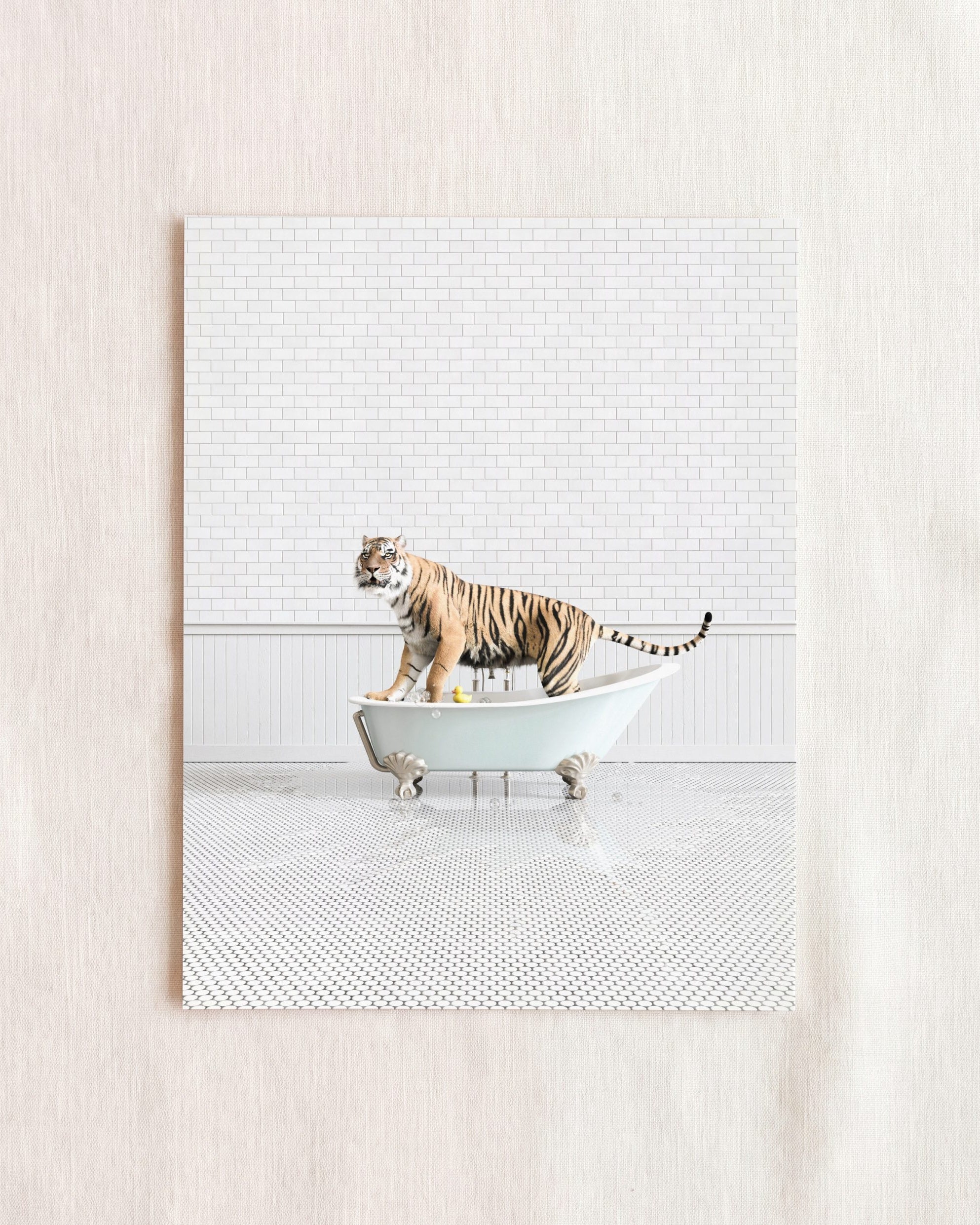 Animals in Bathtubs - Mix and Match Vertical