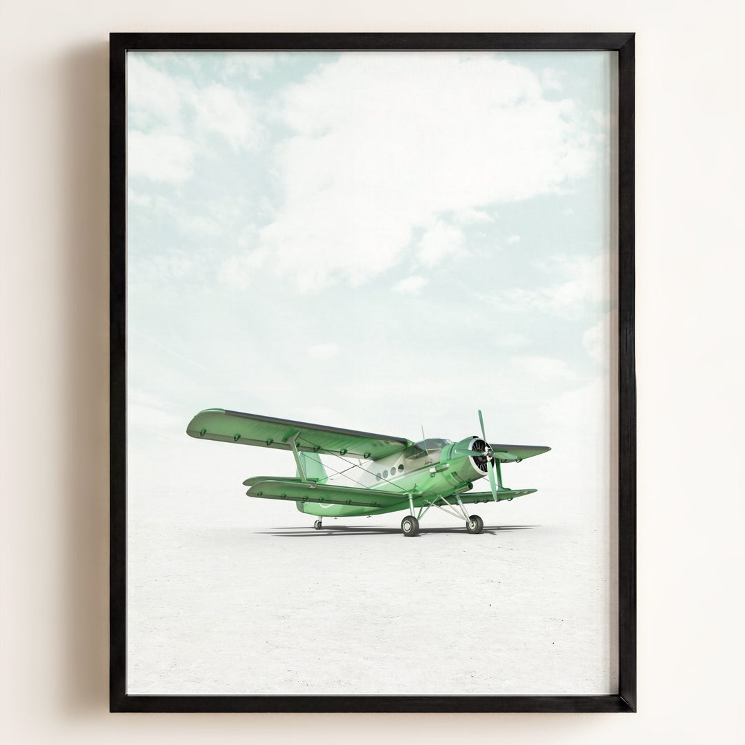 Antonov AN-2 Airplane