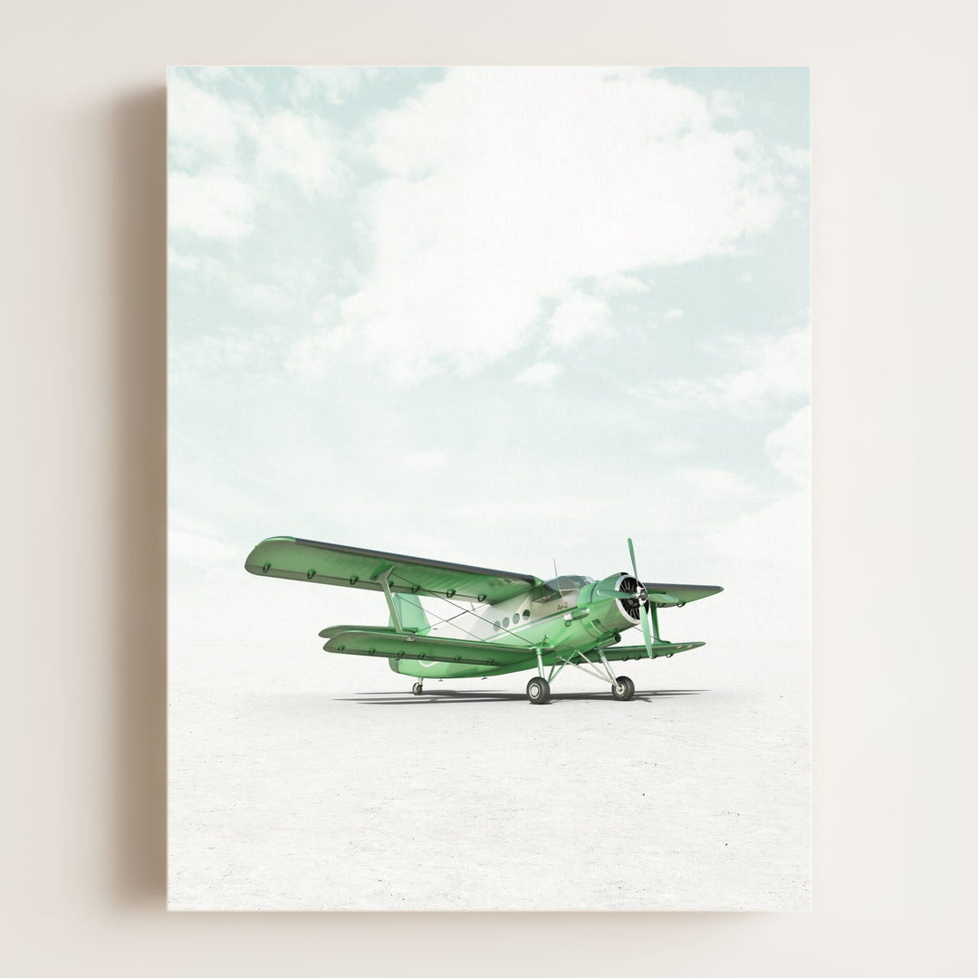 Antonov AN-2 Airplane