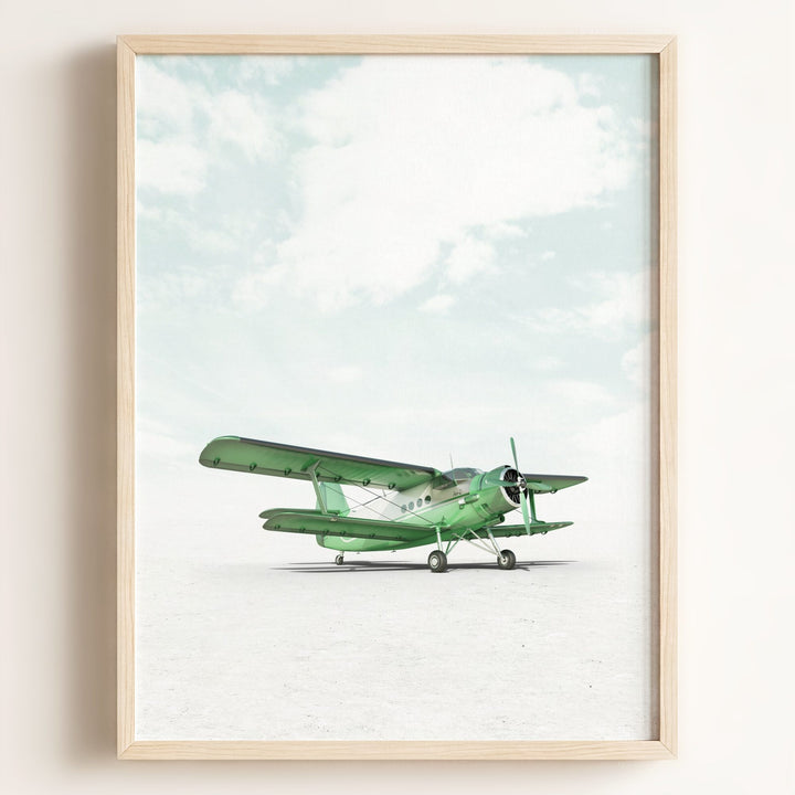 Antonov AN-2 Airplane