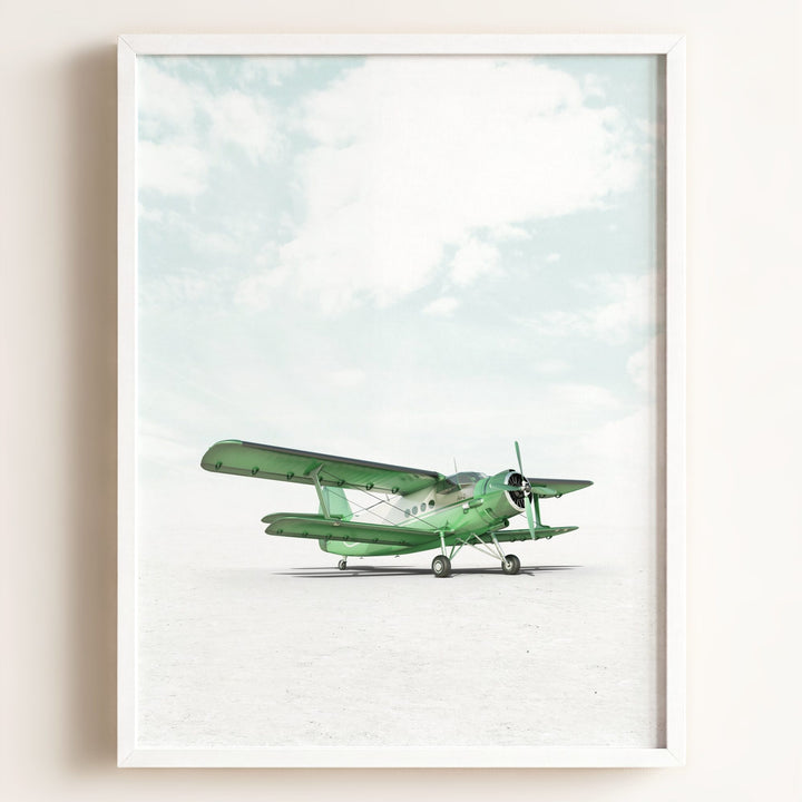 Antonov AN-2 Airplane