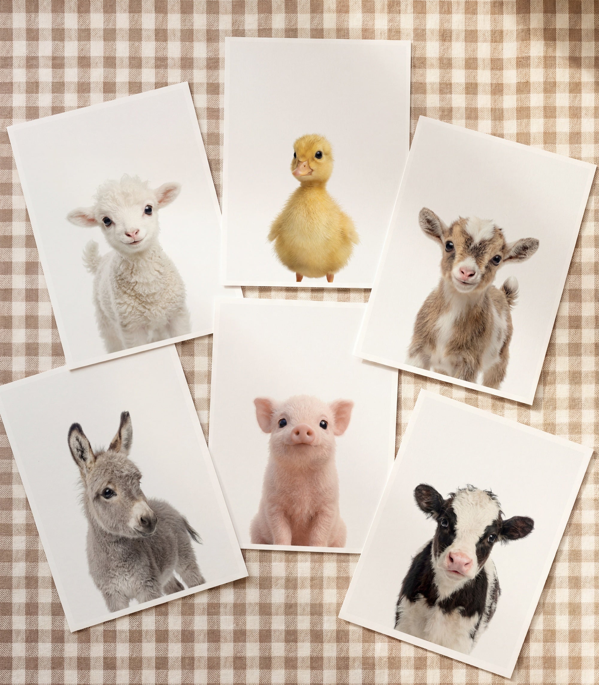 Baby Animal Art - Curated Sets of 6
