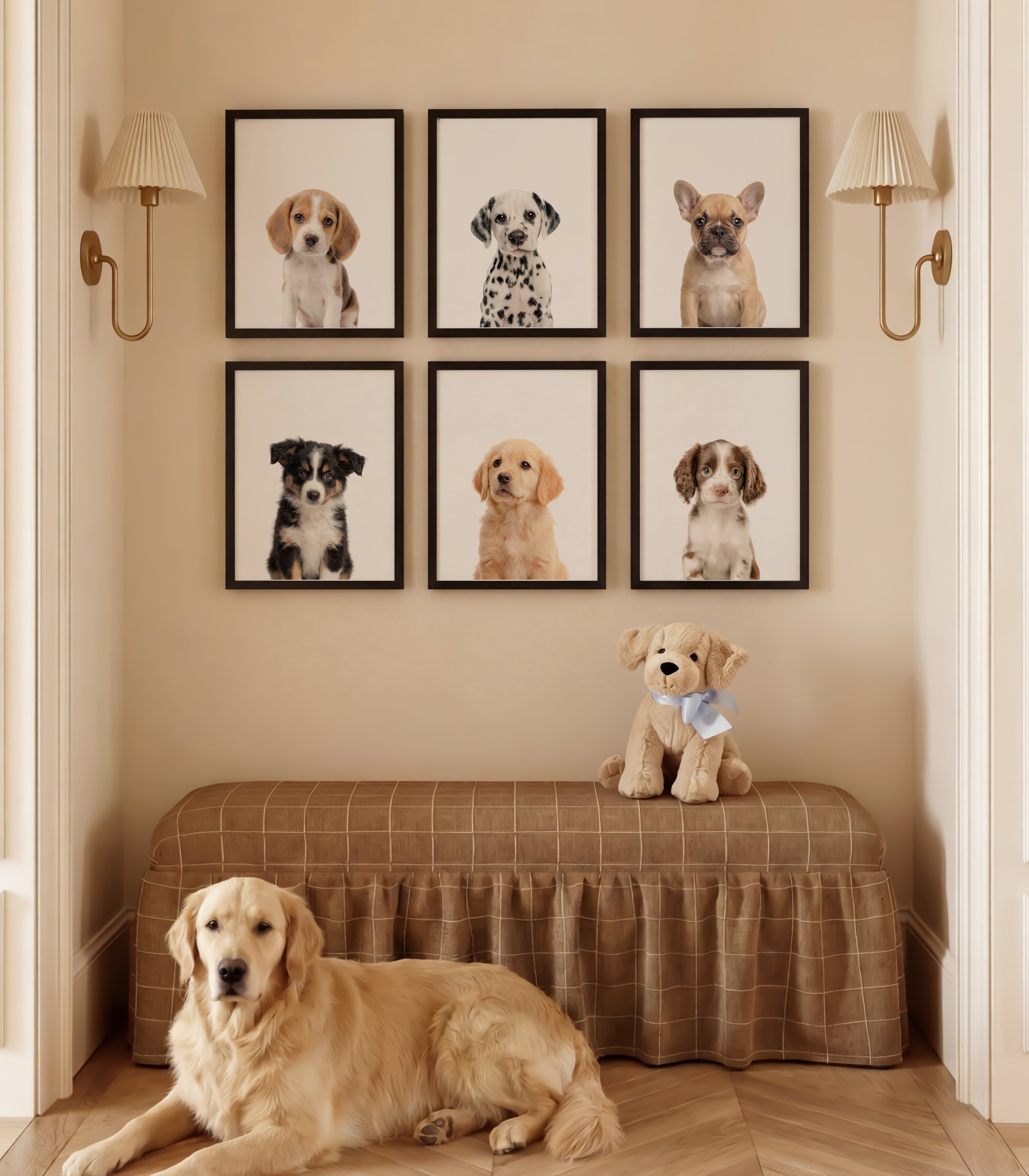 Baby Animal Art - Curated Sets of 6
