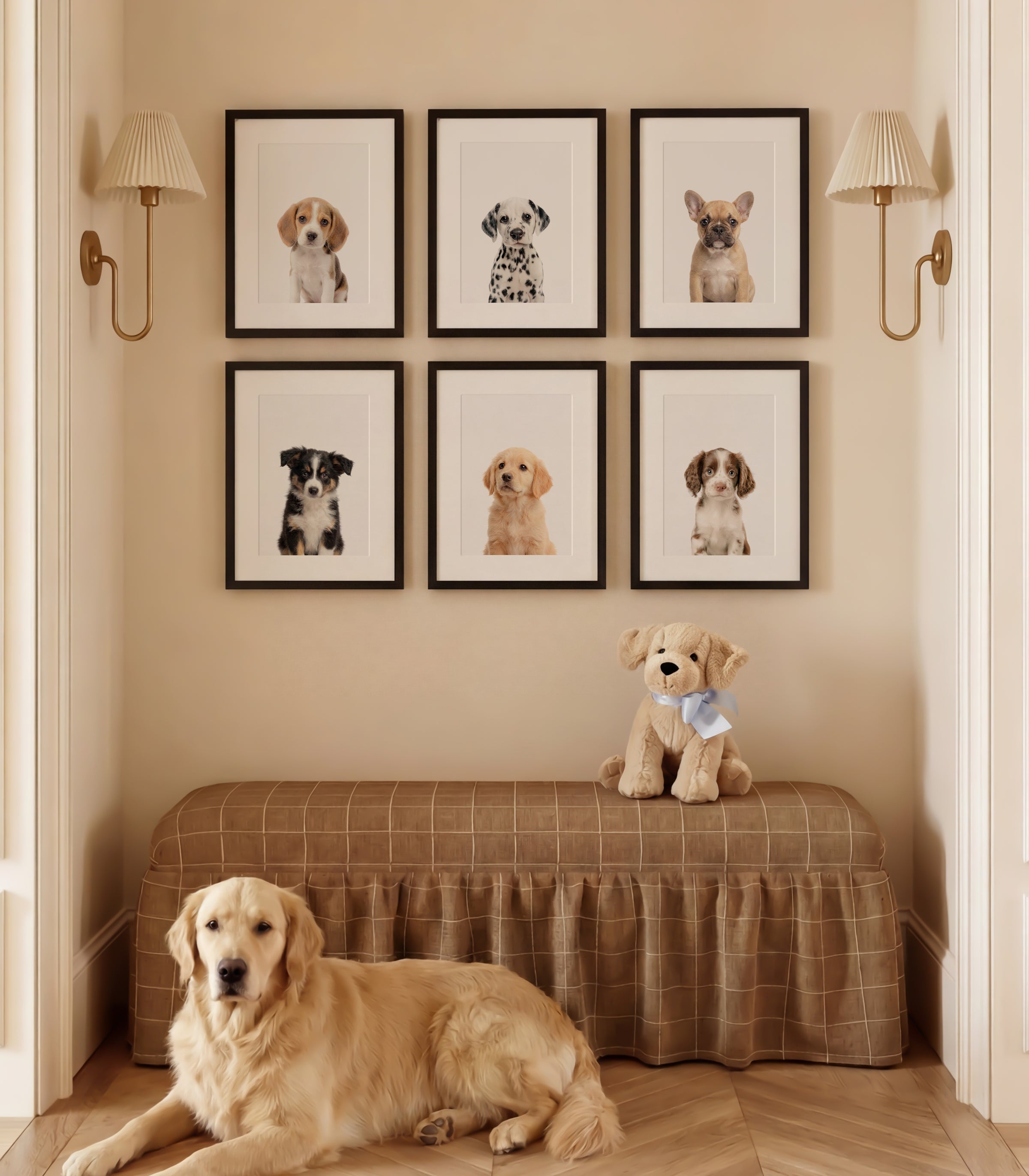 Baby Animal Art - Curated Sets of 6