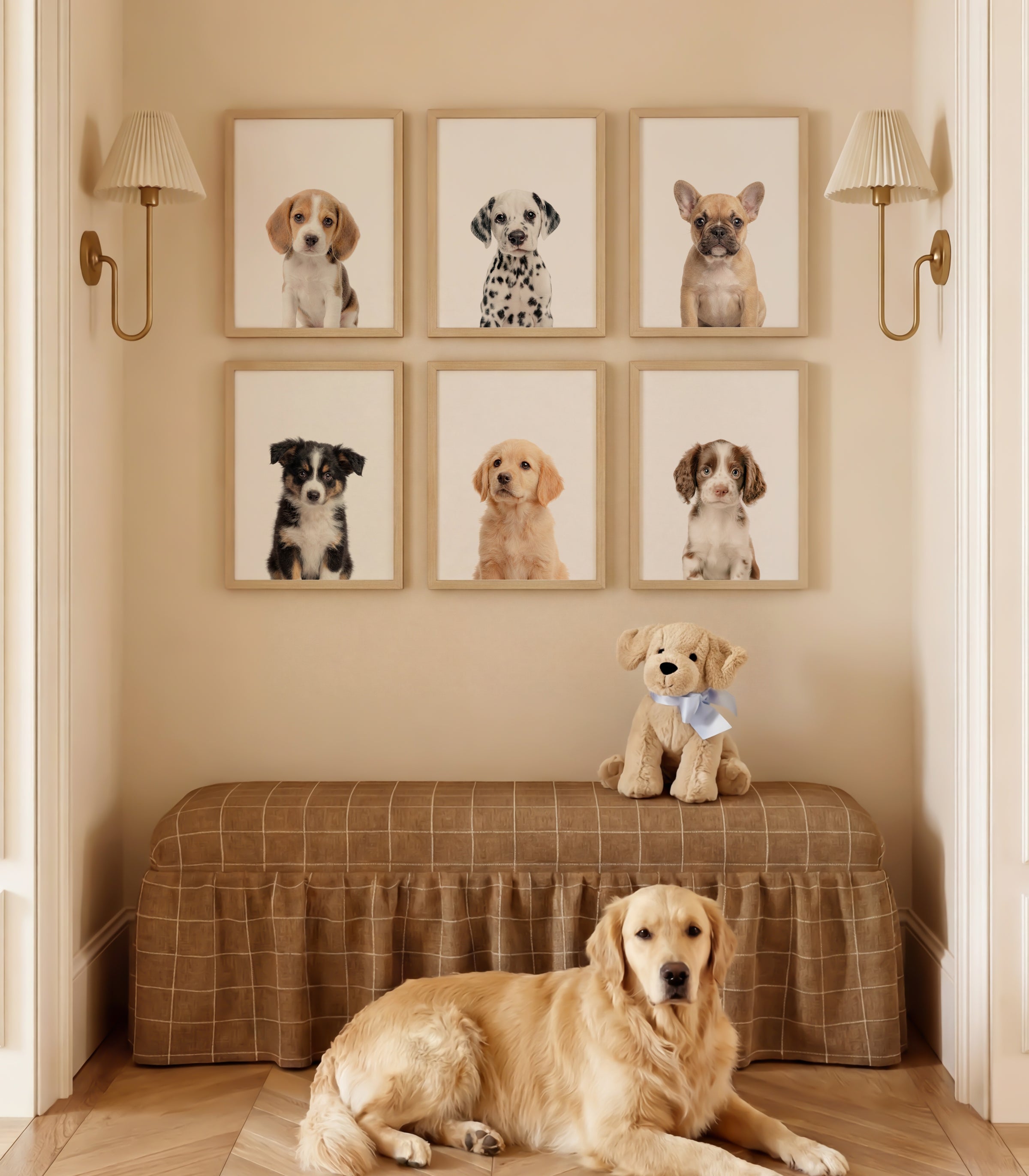 Baby Animal Art - Curated Sets of 6